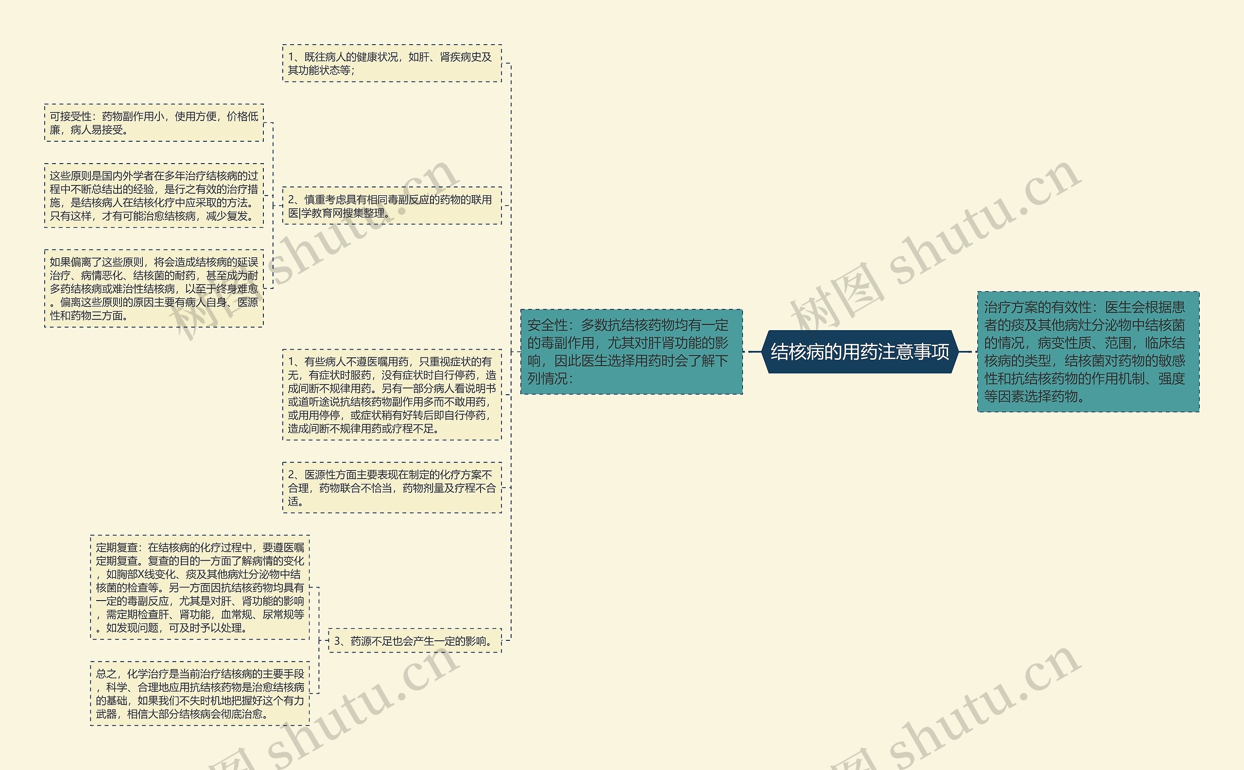 结核病的用药注意事项思维导图