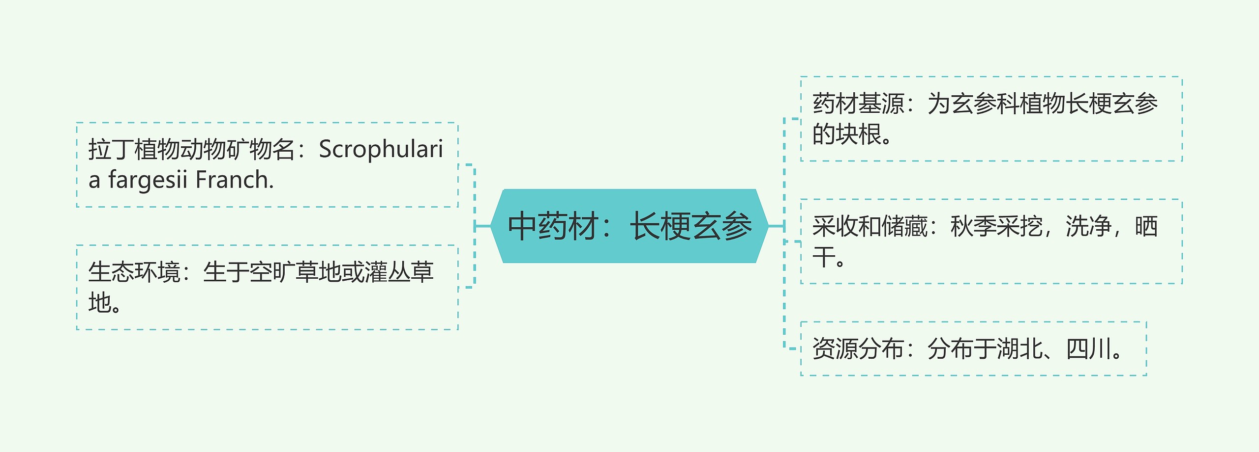 中药材：长梗玄参思维导图