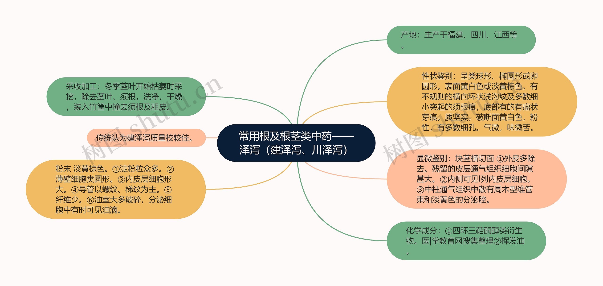 常用根及根茎类中药——泽泻（建泽泻、川泽泻）思维导图