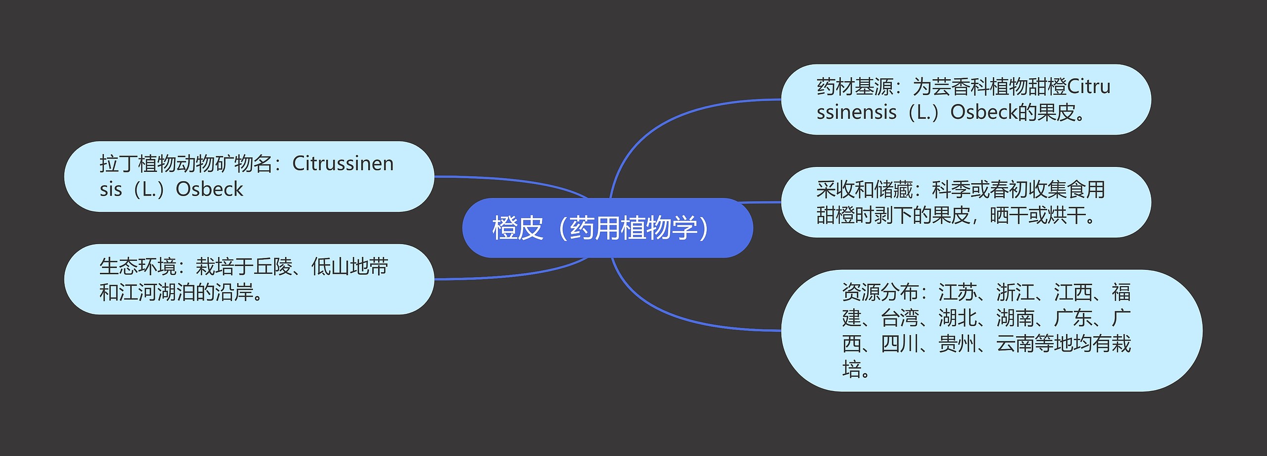 橙皮（药用植物学）