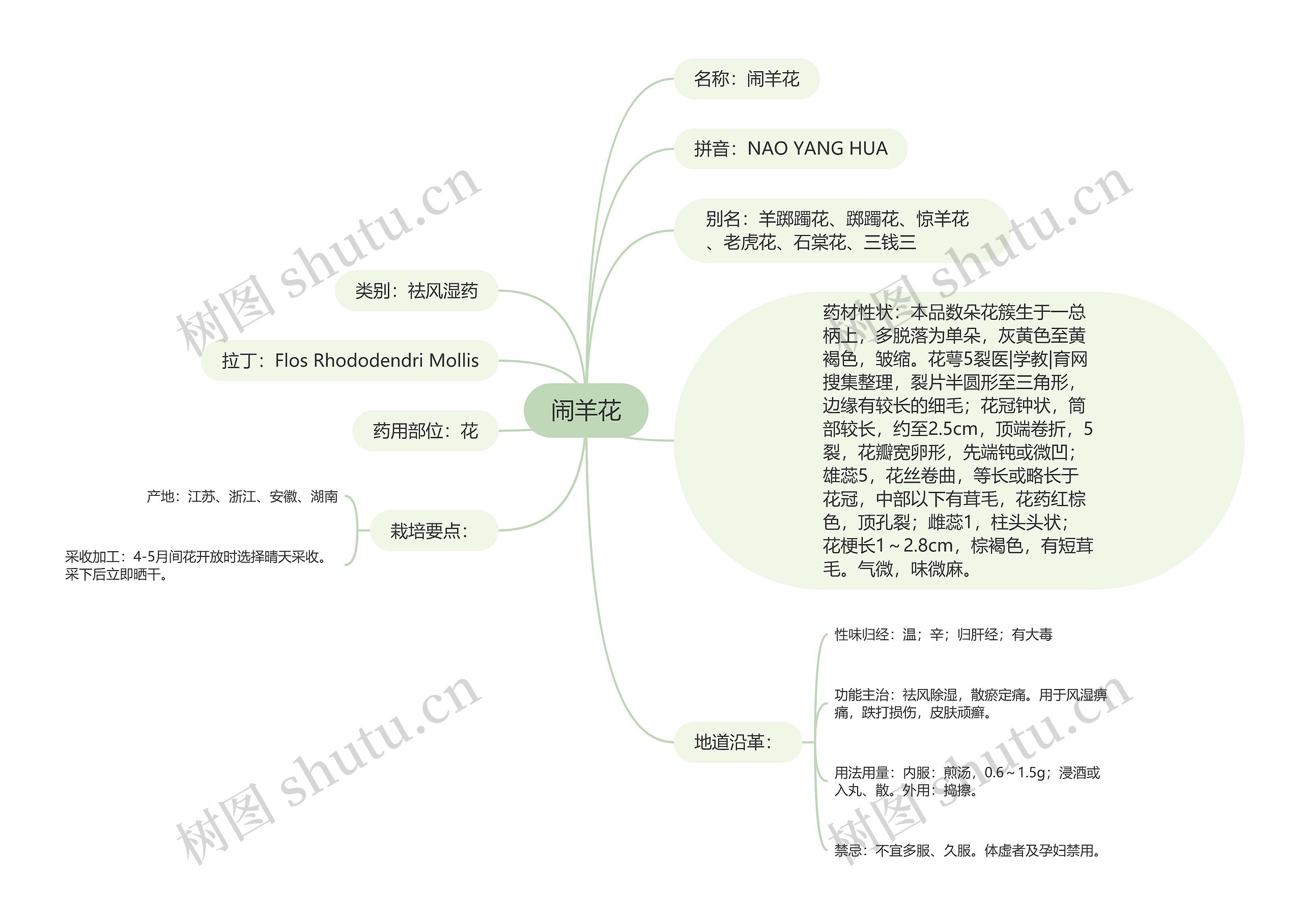 闹羊花思维导图