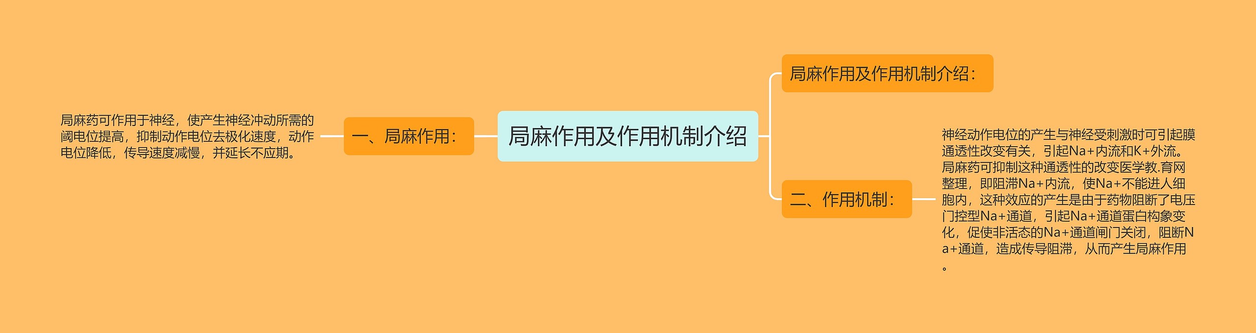 局麻作用及作用机制介绍 局麻作用及作用机制介绍