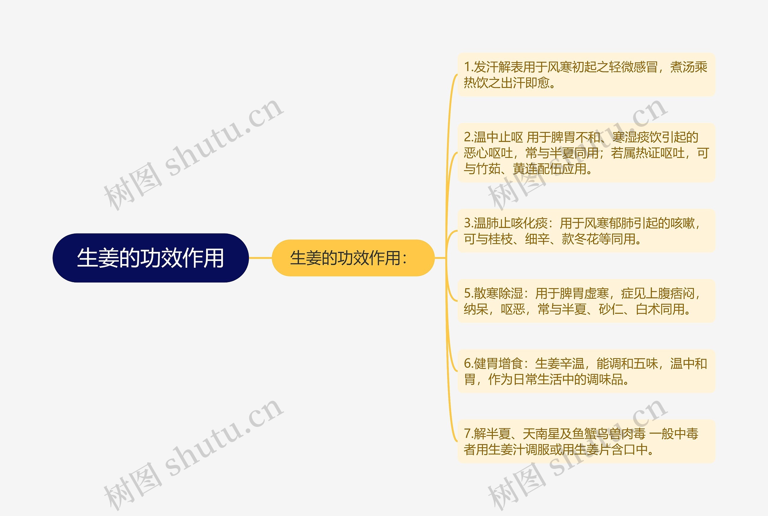 生姜的功效作用思维导图