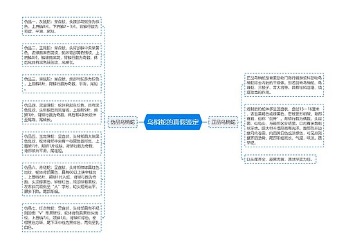 乌梢蛇的真假鉴定