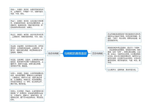 乌梢蛇的真假鉴定