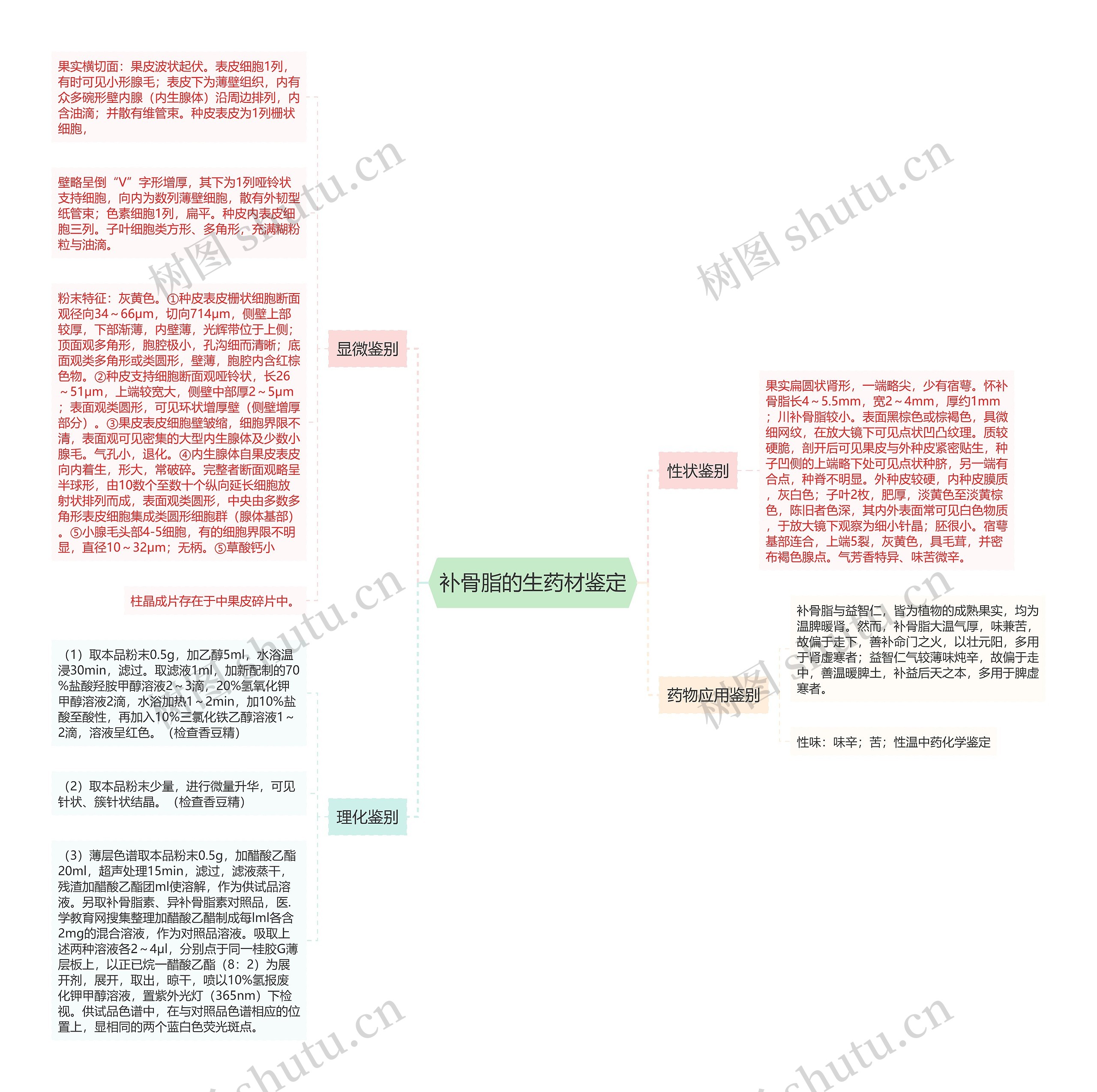 补骨脂的生药材鉴定思维导图