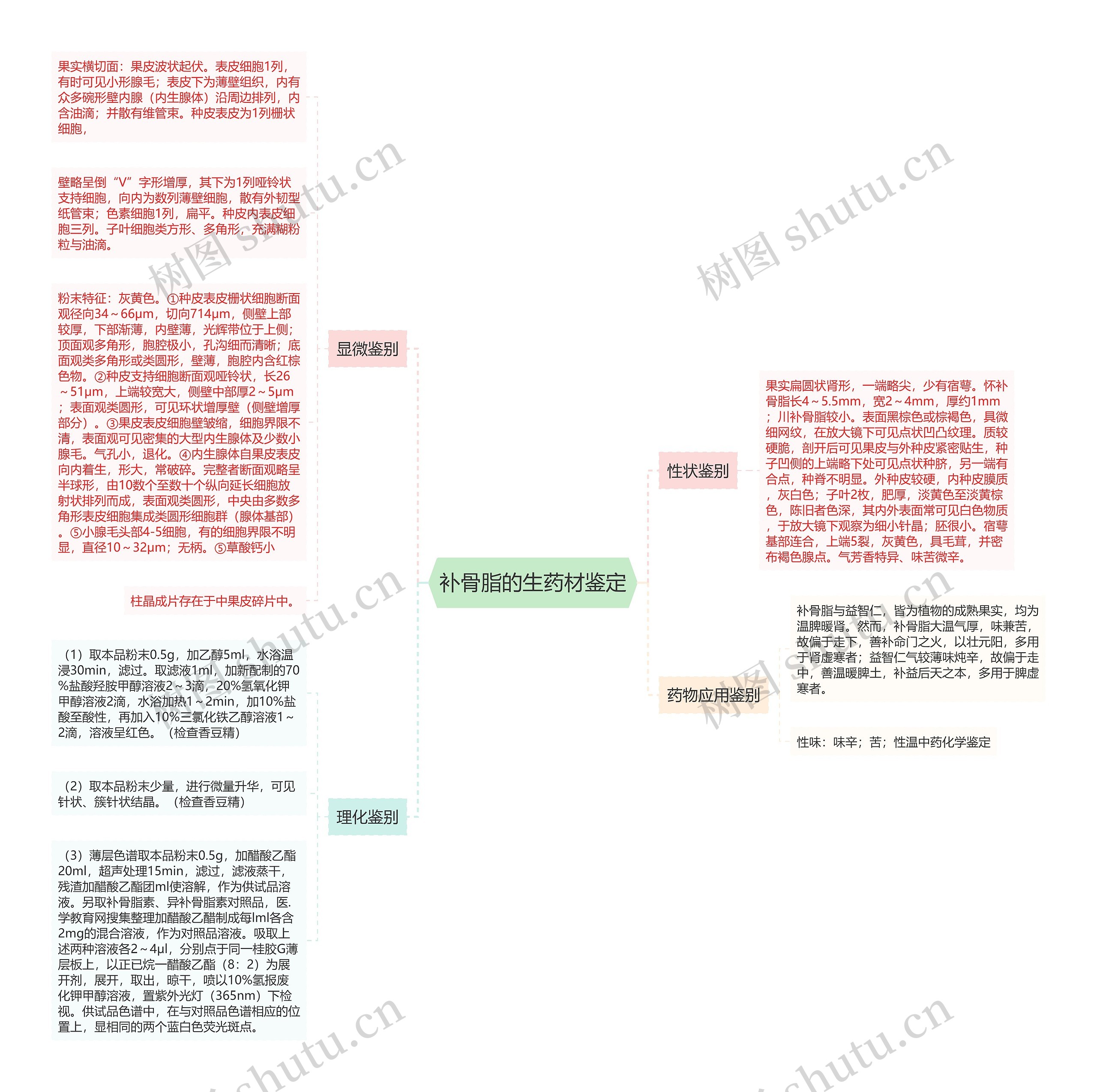 补骨脂的生药材鉴定 补骨脂的生药材鉴定