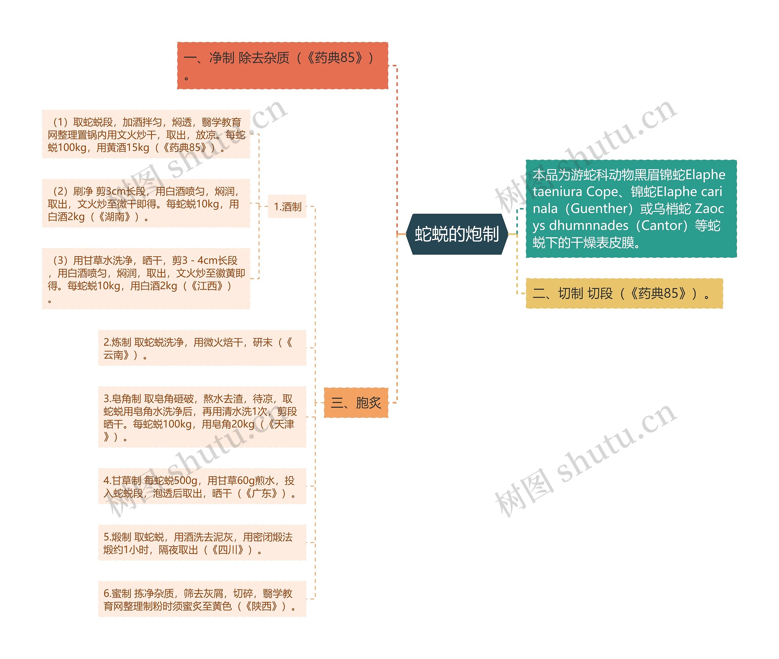 蛇蜕的炮制思维导图