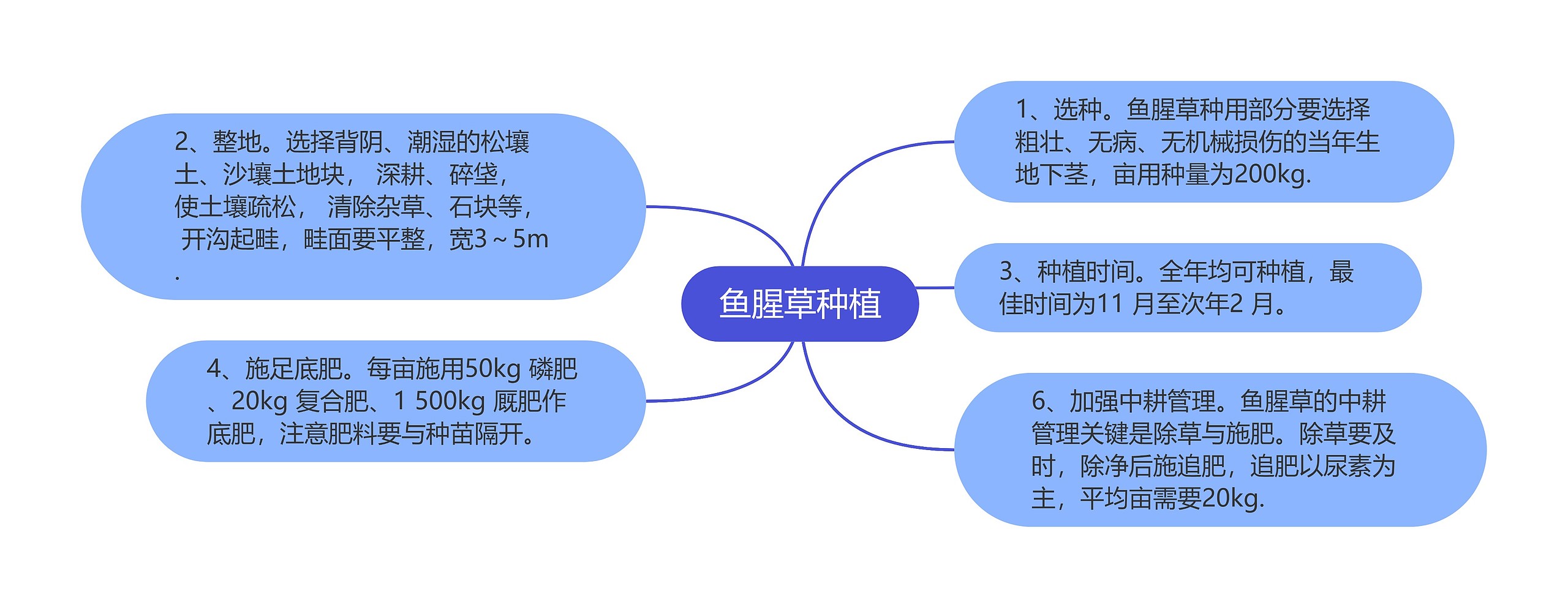 鱼腥草种植 鱼腥草种植