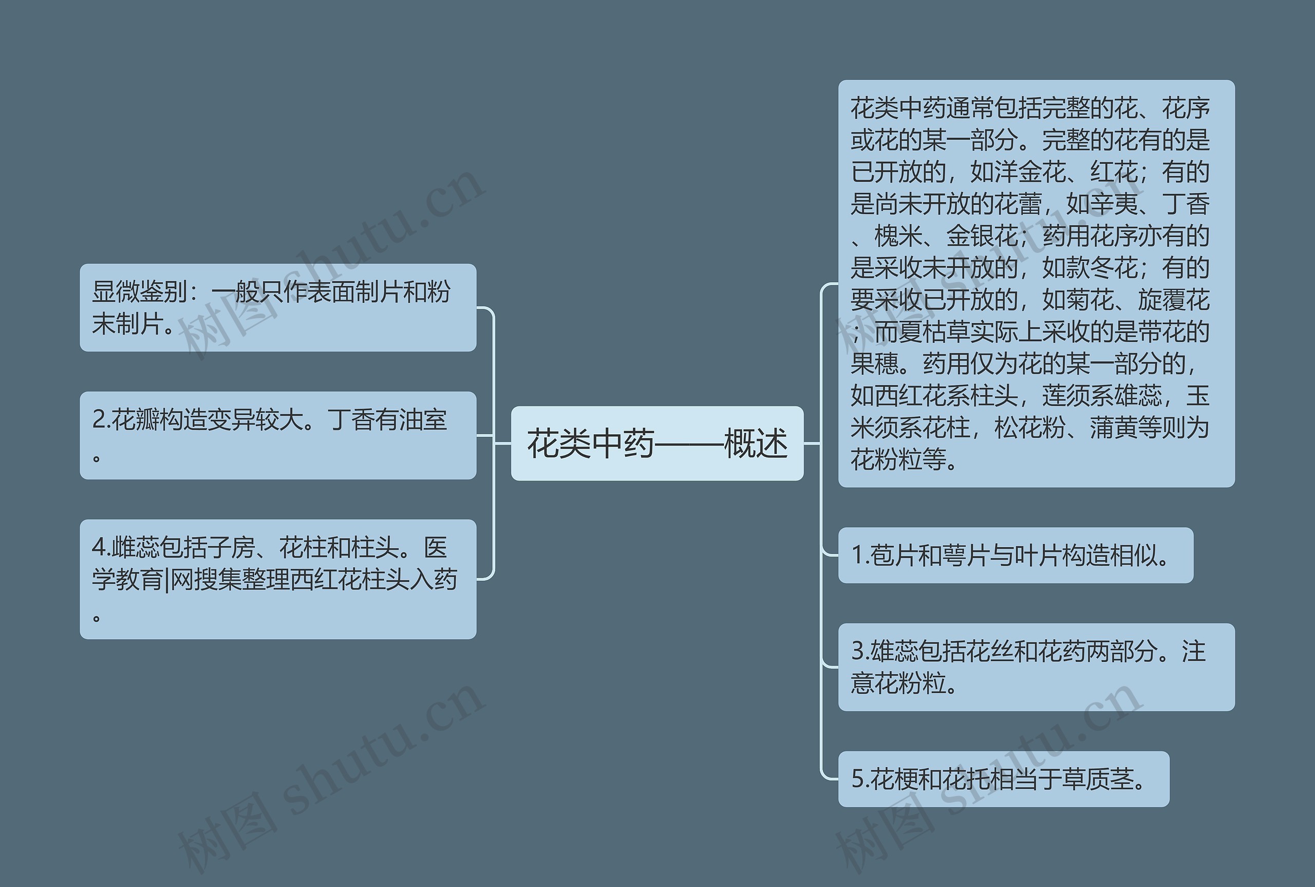 花类中药——概述思维导图