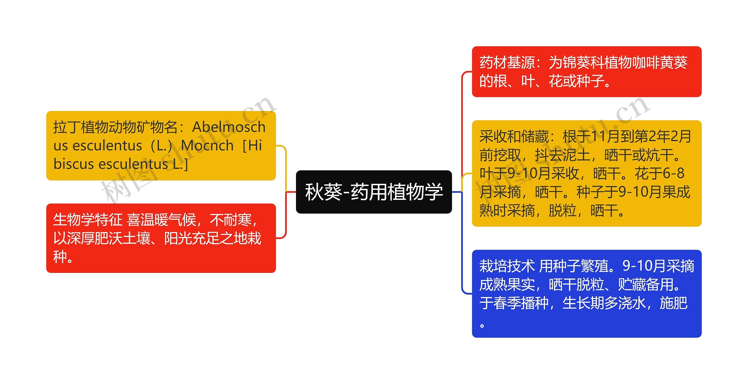 秋葵-药用植物学 秋葵-药用植物学
