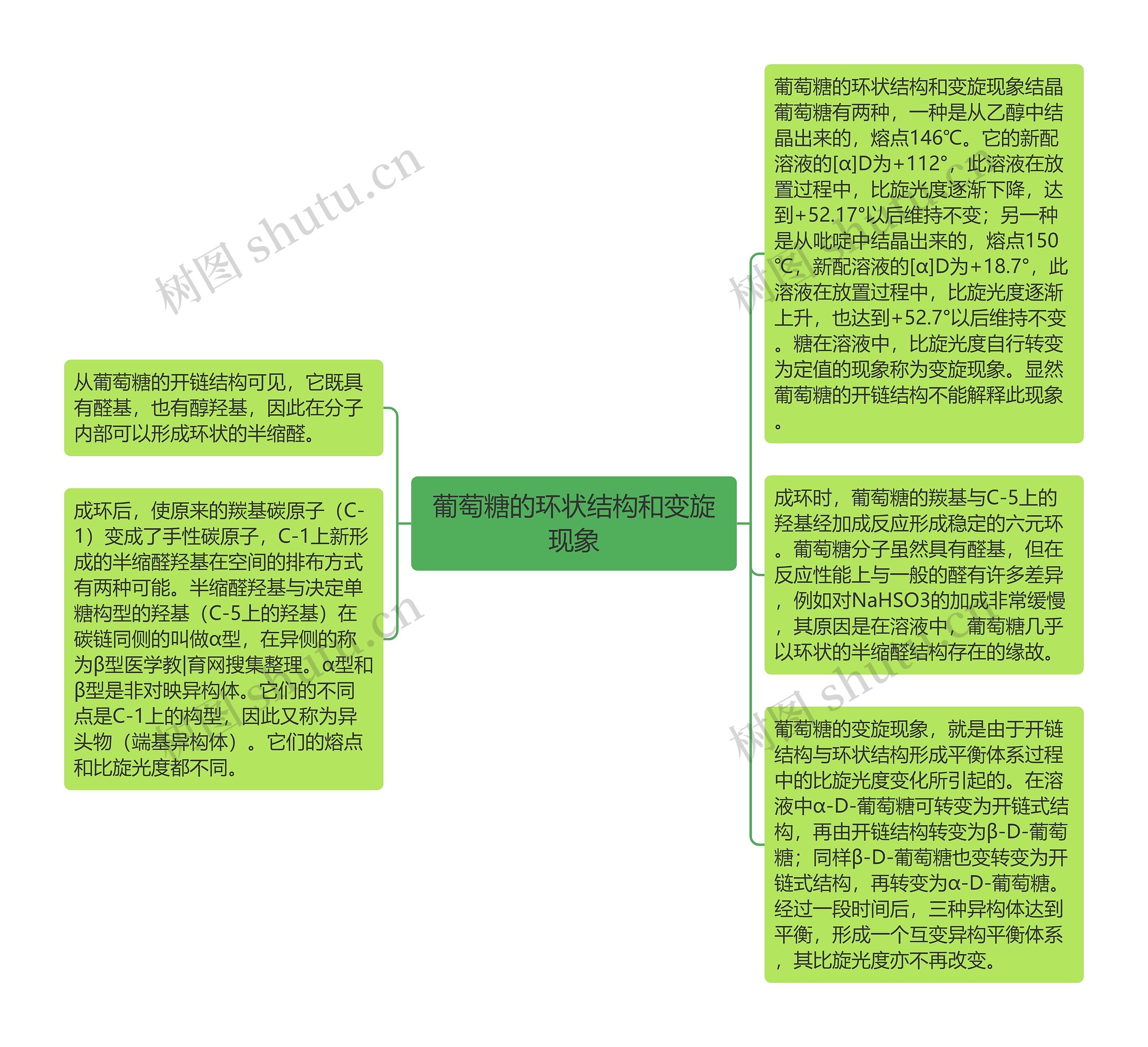 葡萄糖的环状结构和变旋现象