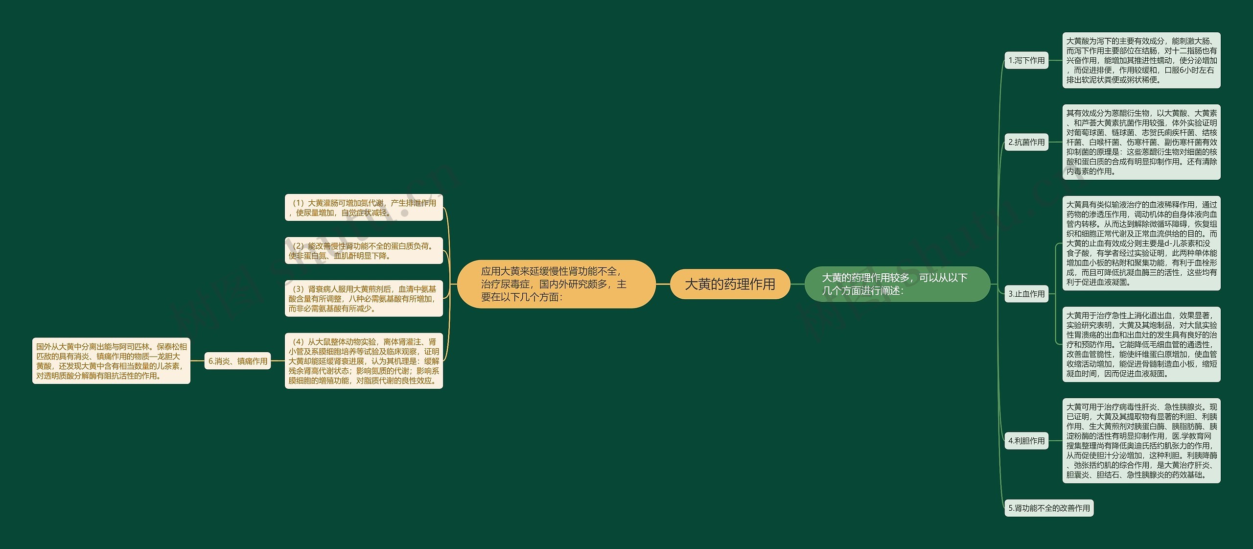 大黄的药理作用思维导图