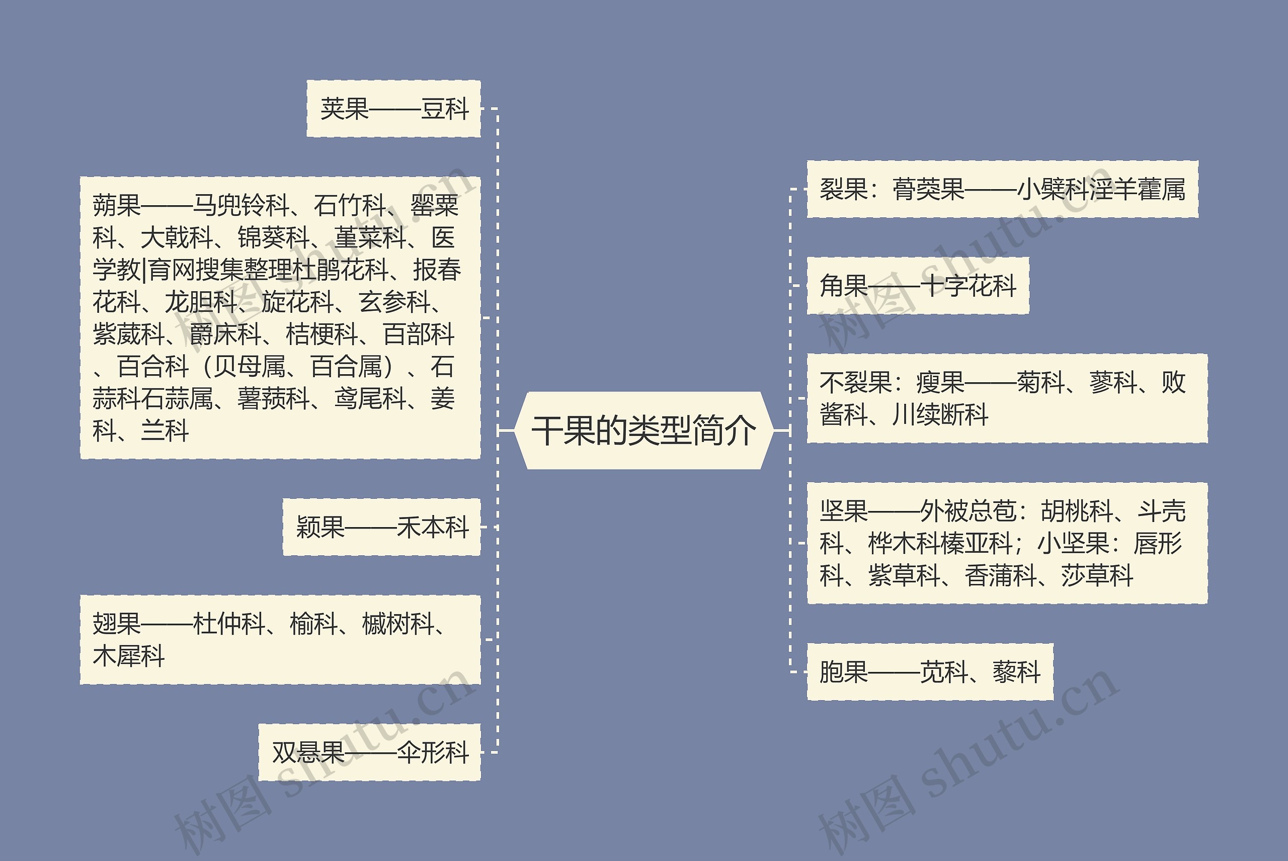 干果的类型简介思维导图