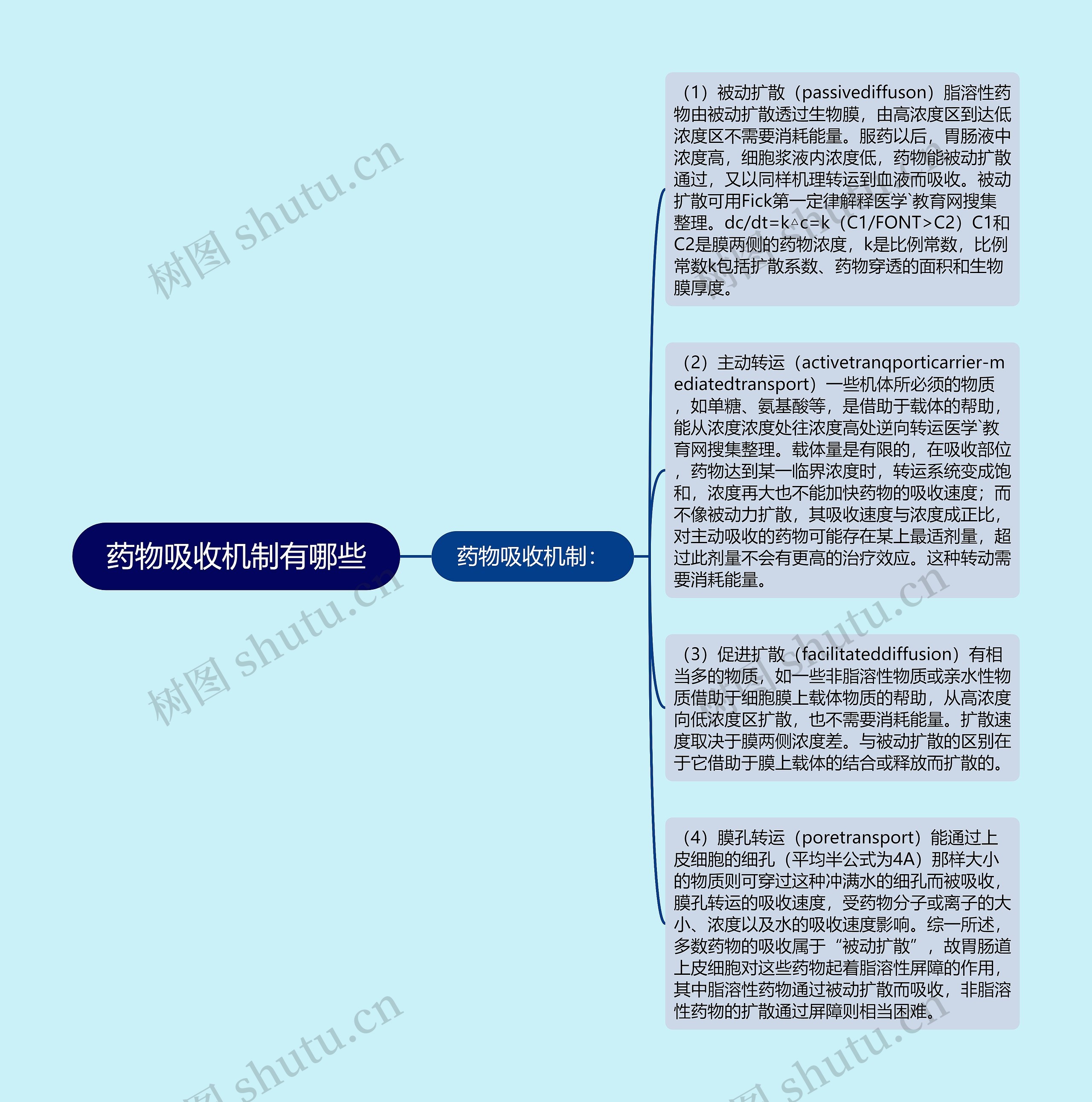 药物吸收机制有哪些思维导图