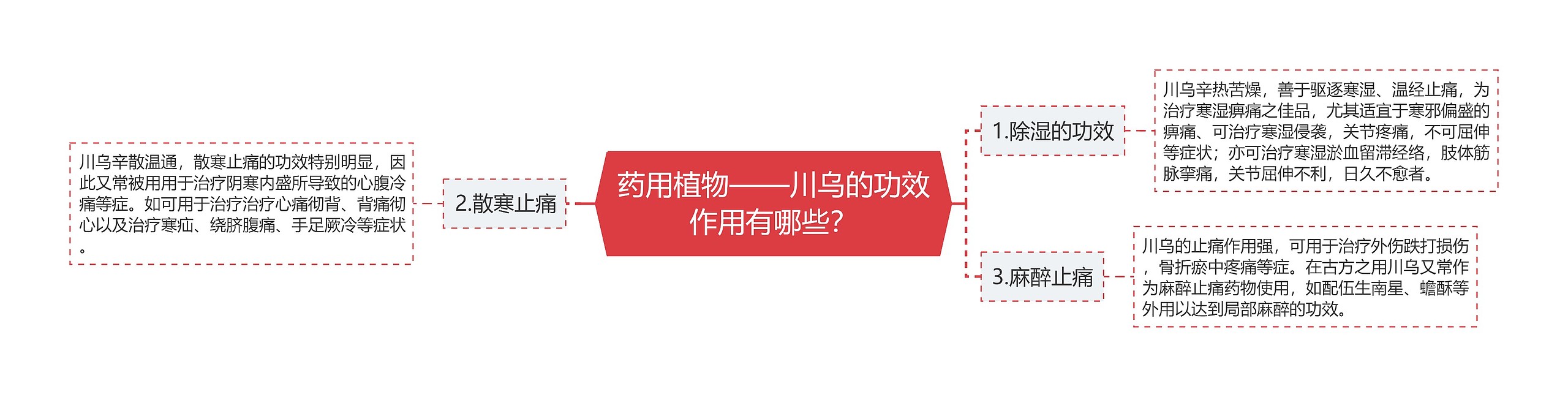 药用植物——川乌的功效作用有哪些? 药用植物——川乌的功效作用有哪些?