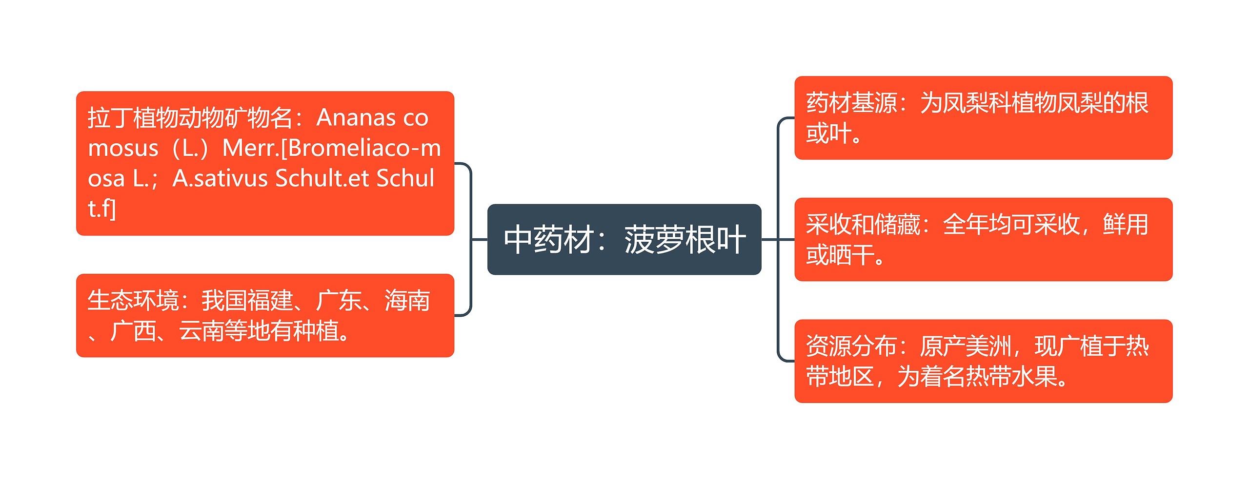 中药材：菠萝根叶