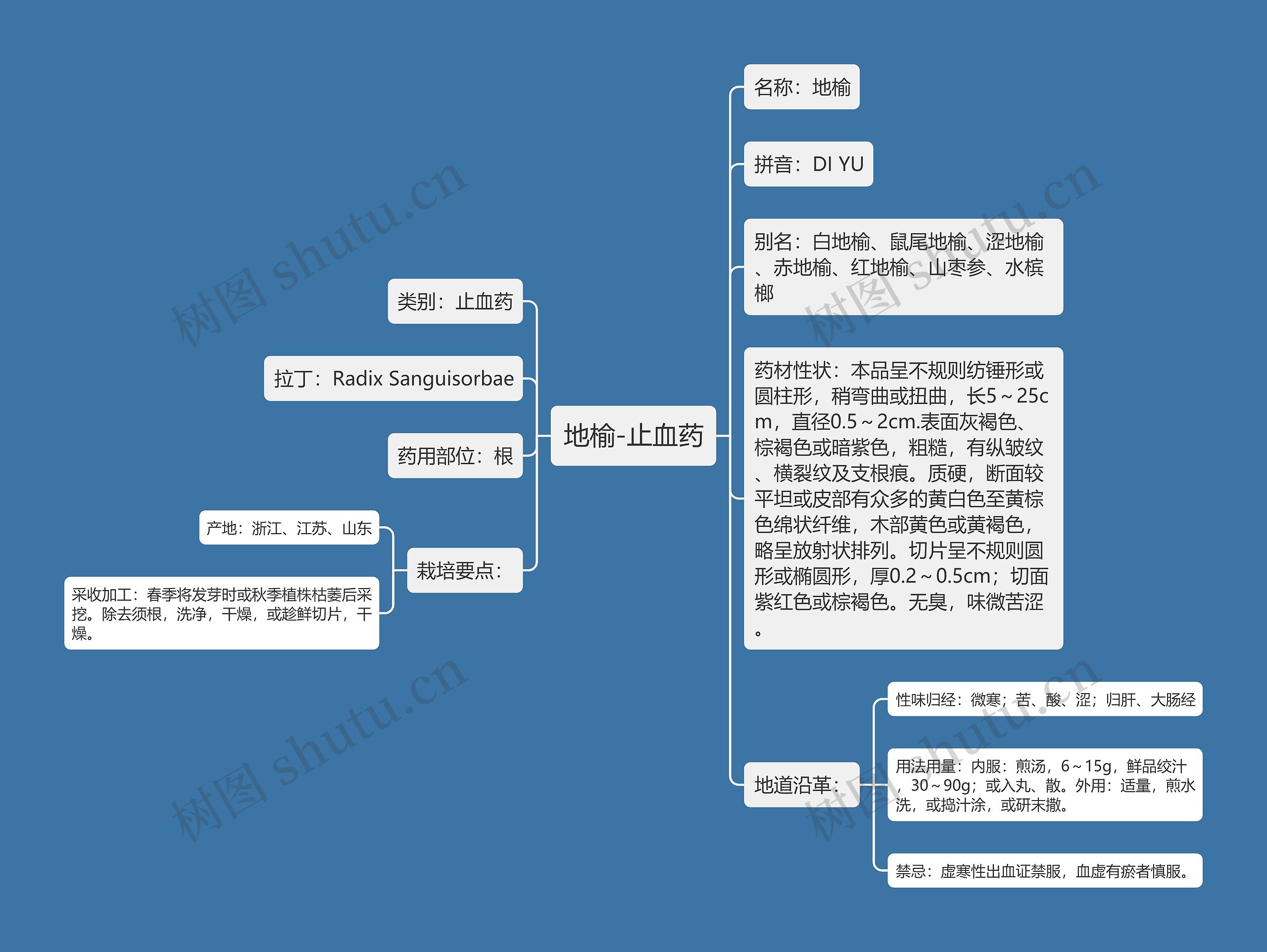 地榆-止血药思维导图