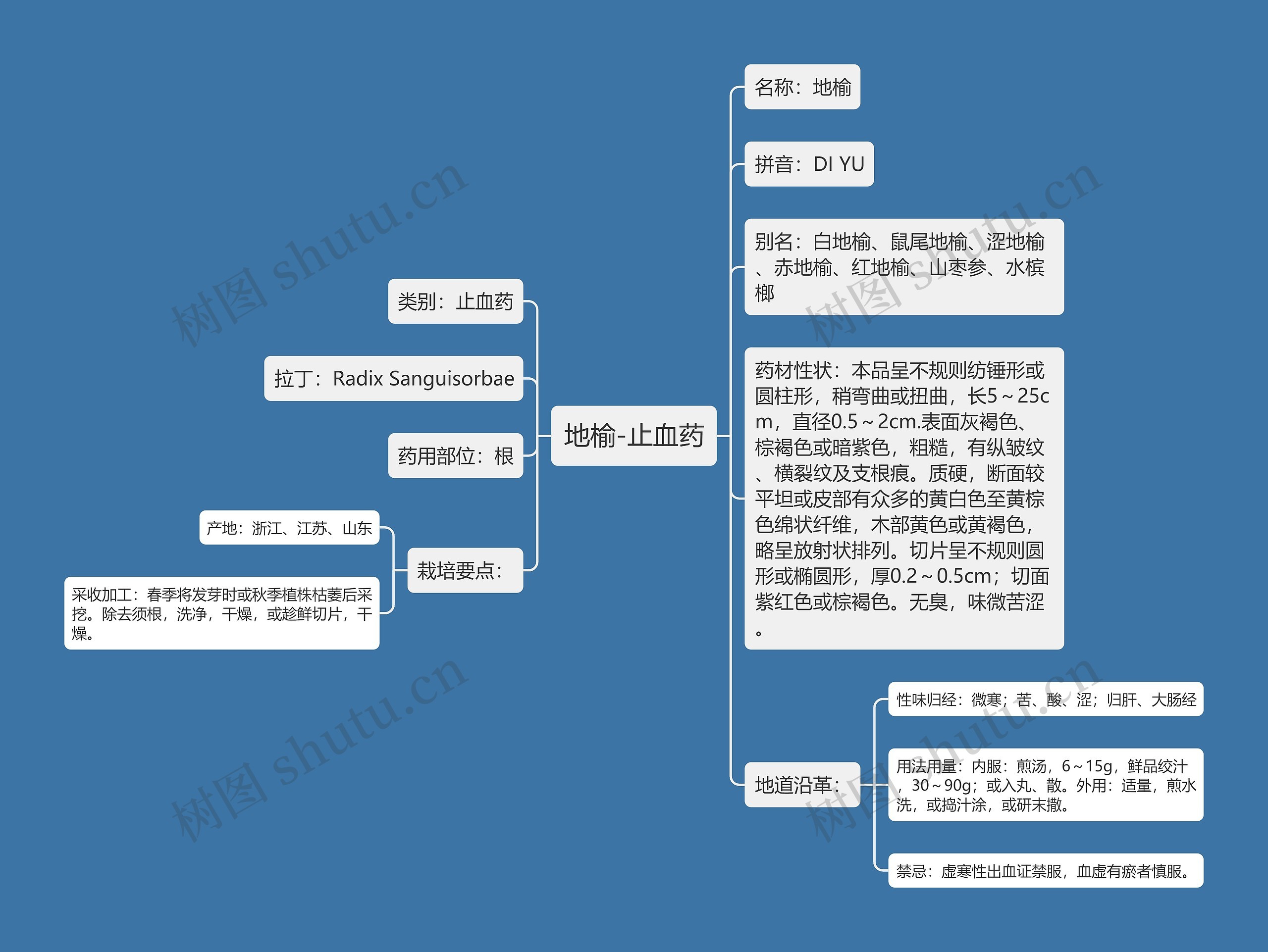 地榆-止血药 地榆-止血药