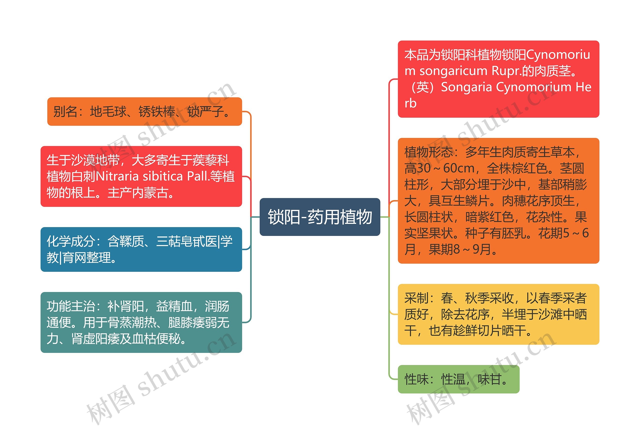 锁阳-药用植物 锁阳-药用植物