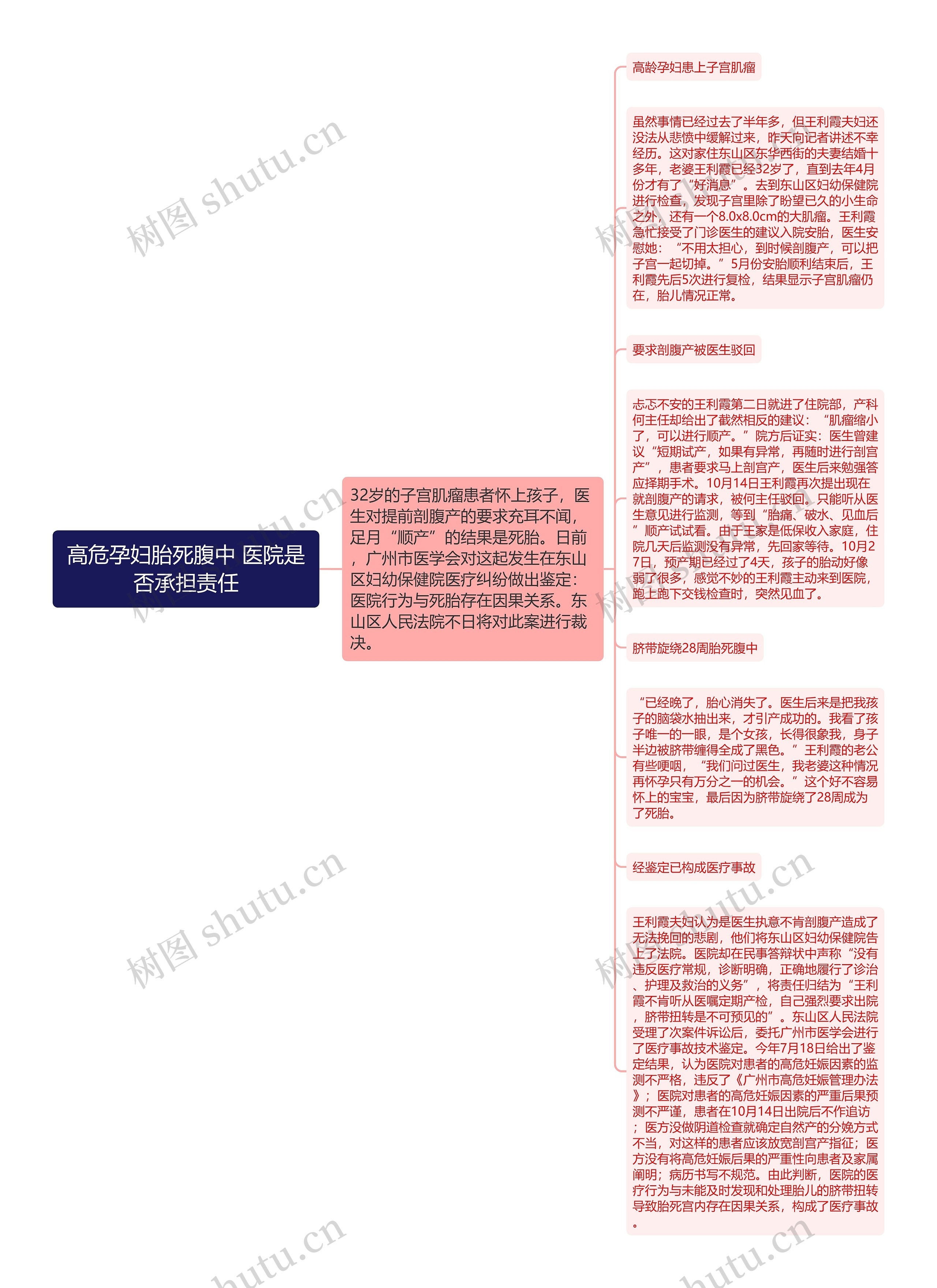 高危孕妇胎死腹中 医院是否承担责任思维导图