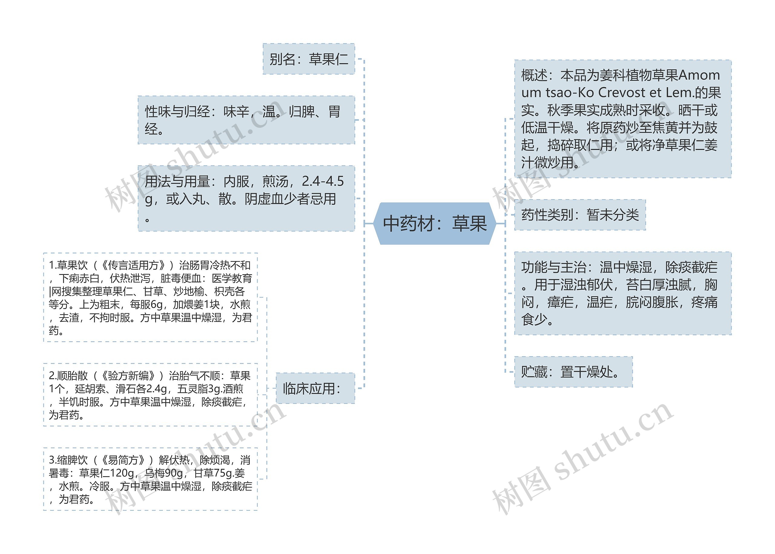 中药材：草果思维导图