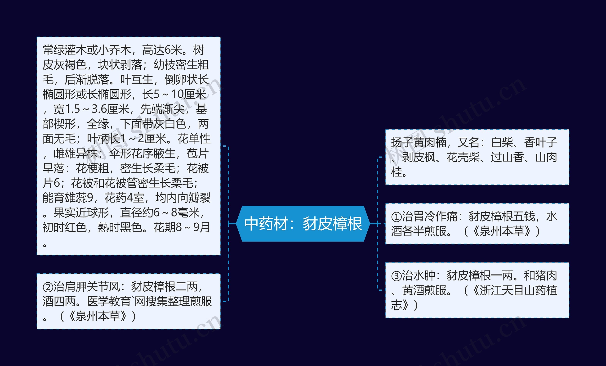 中药材：豺皮樟根思维导图