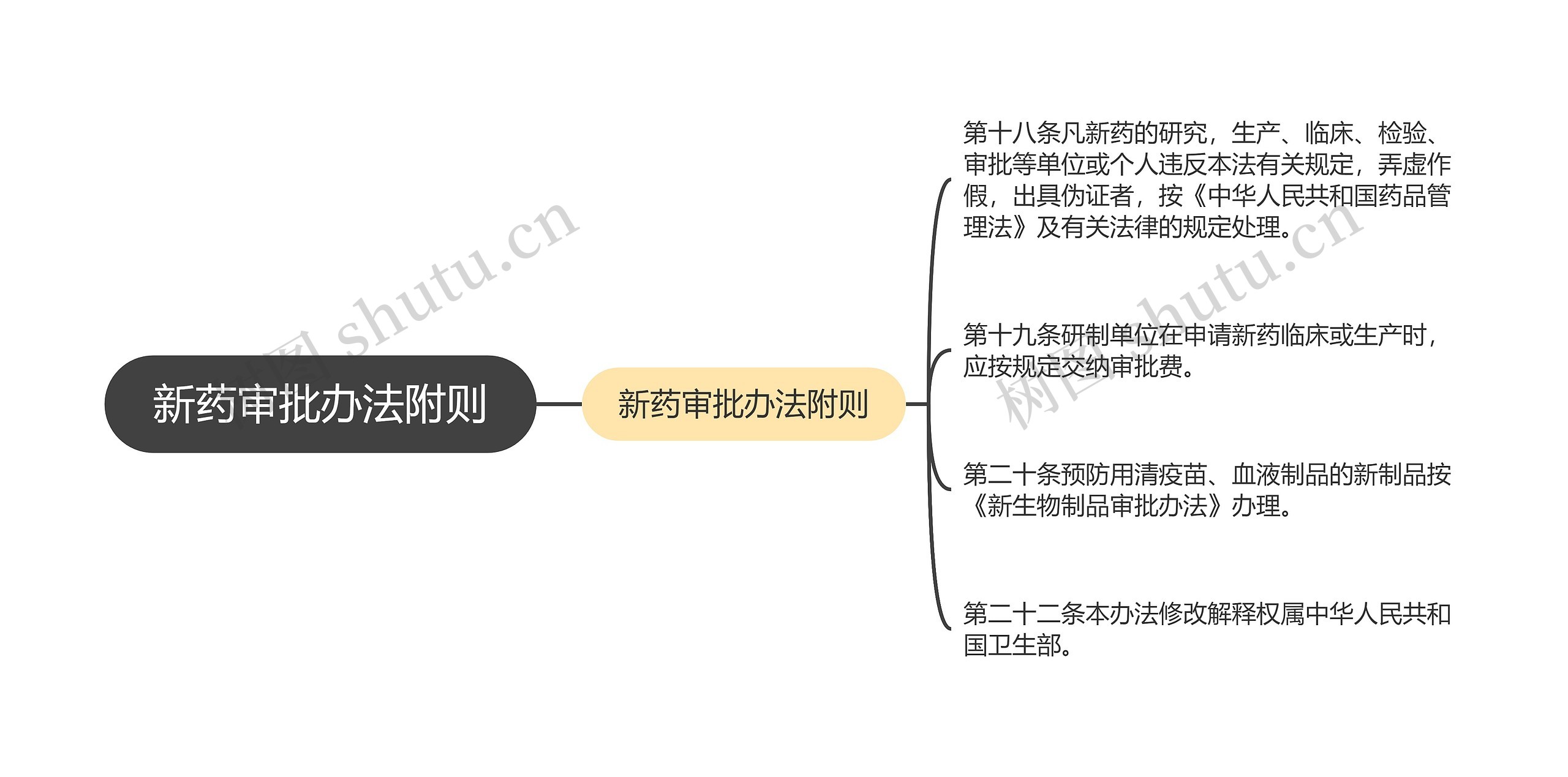 新药审批办法附则思维导图