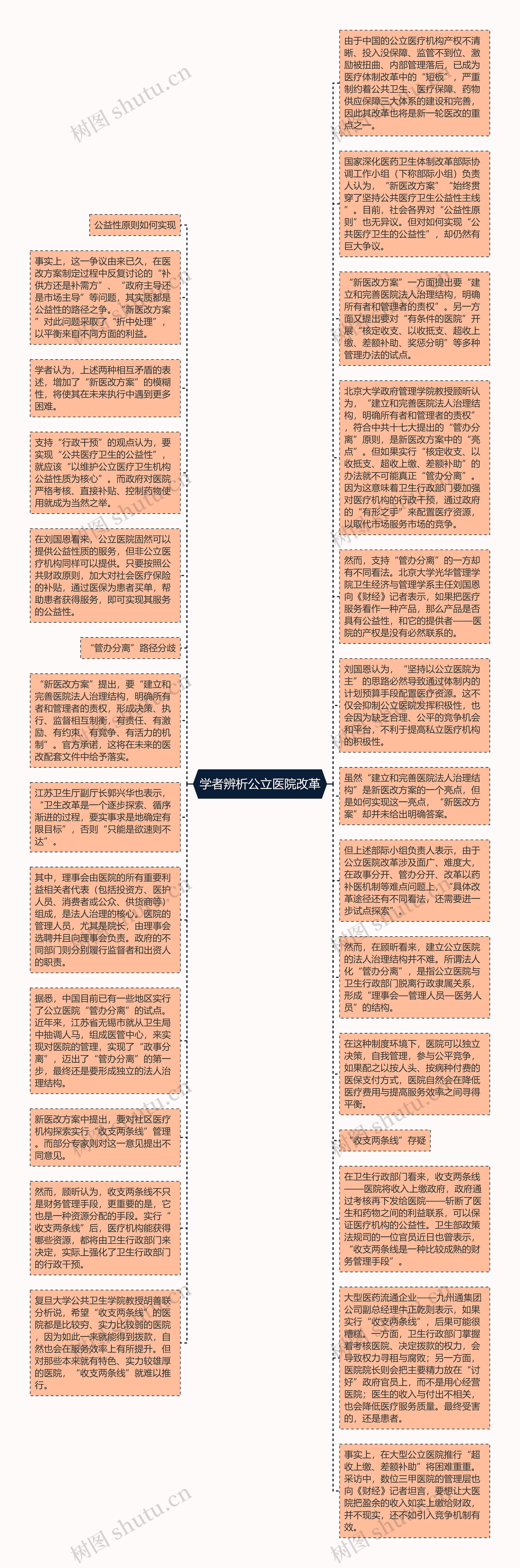 学者辨析公立医院改革