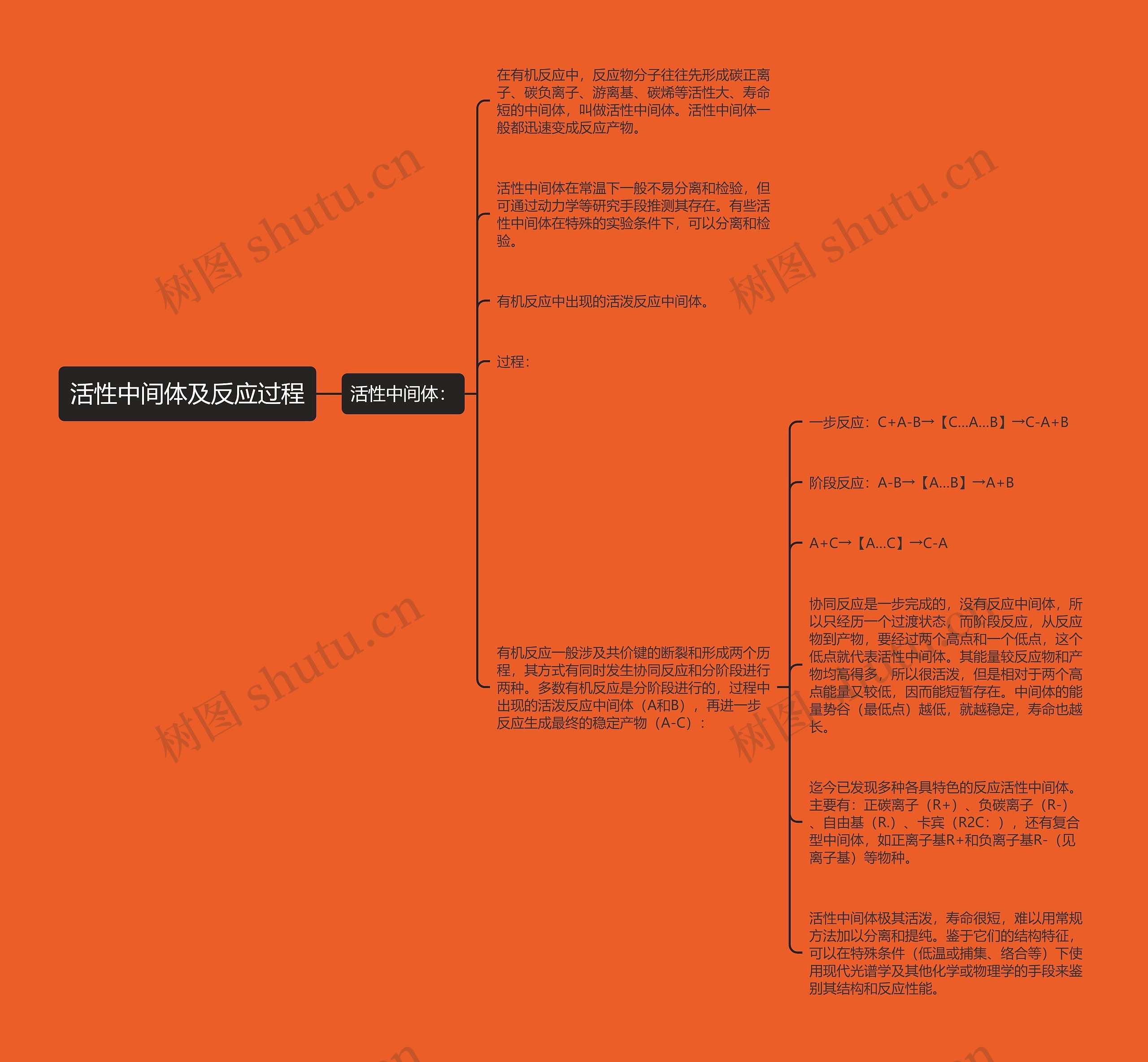 活性中间体及反应过程思维导图