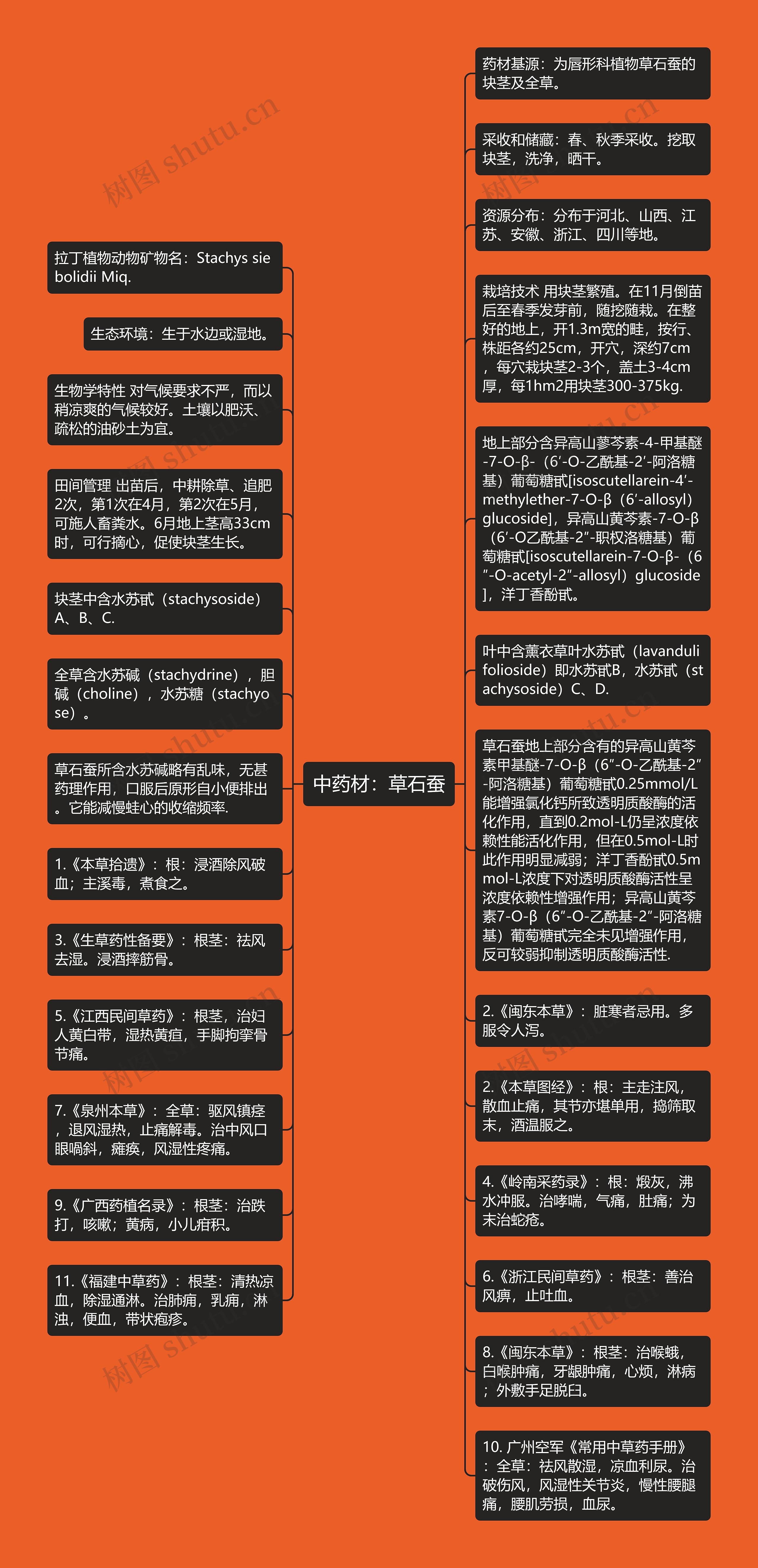 中药材：草石蚕