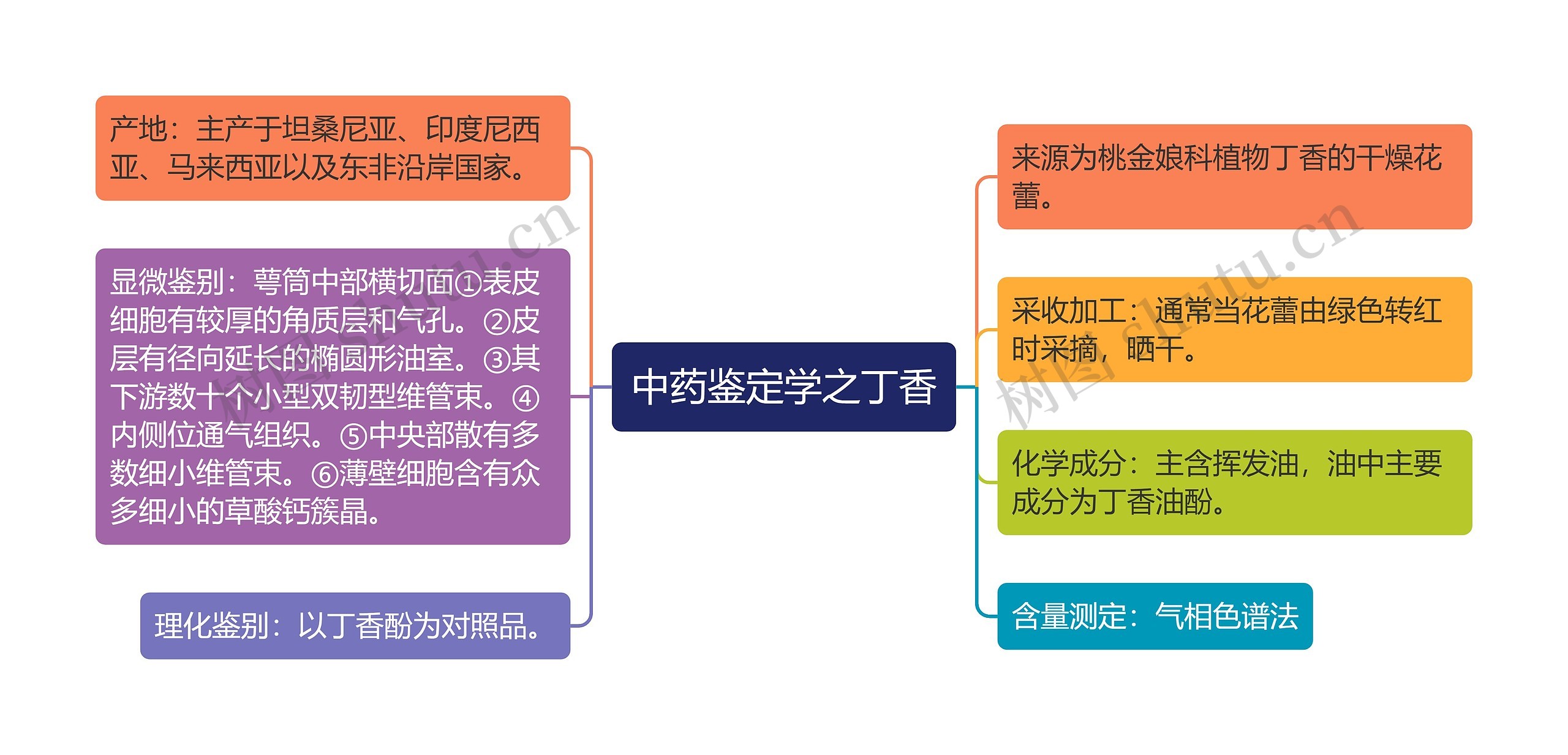 中药鉴定学之丁香思维导图