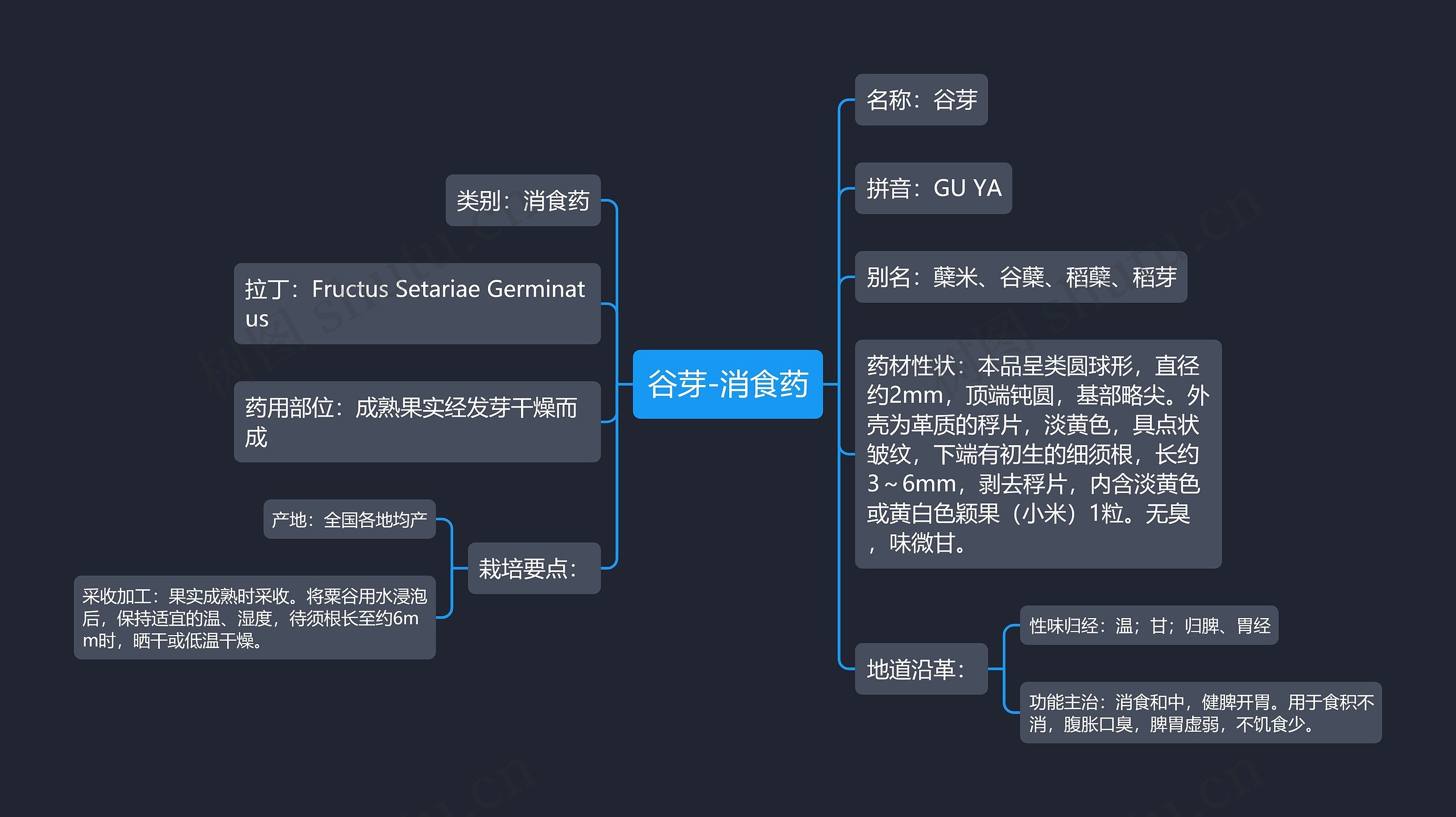 谷芽-消食药思维导图高清图 谷芽-消食药思维导图