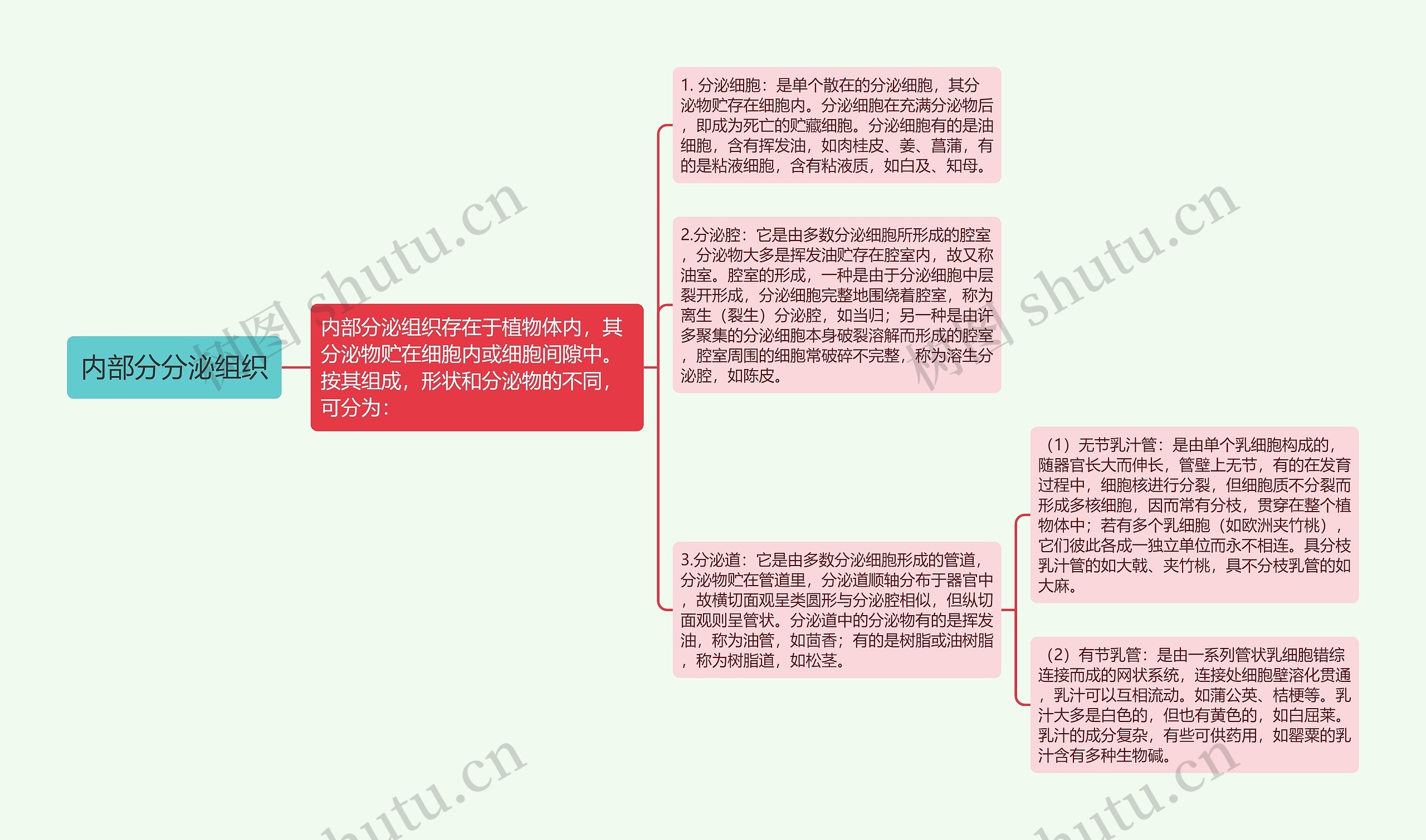 内部分分泌组织 内部分分泌组织