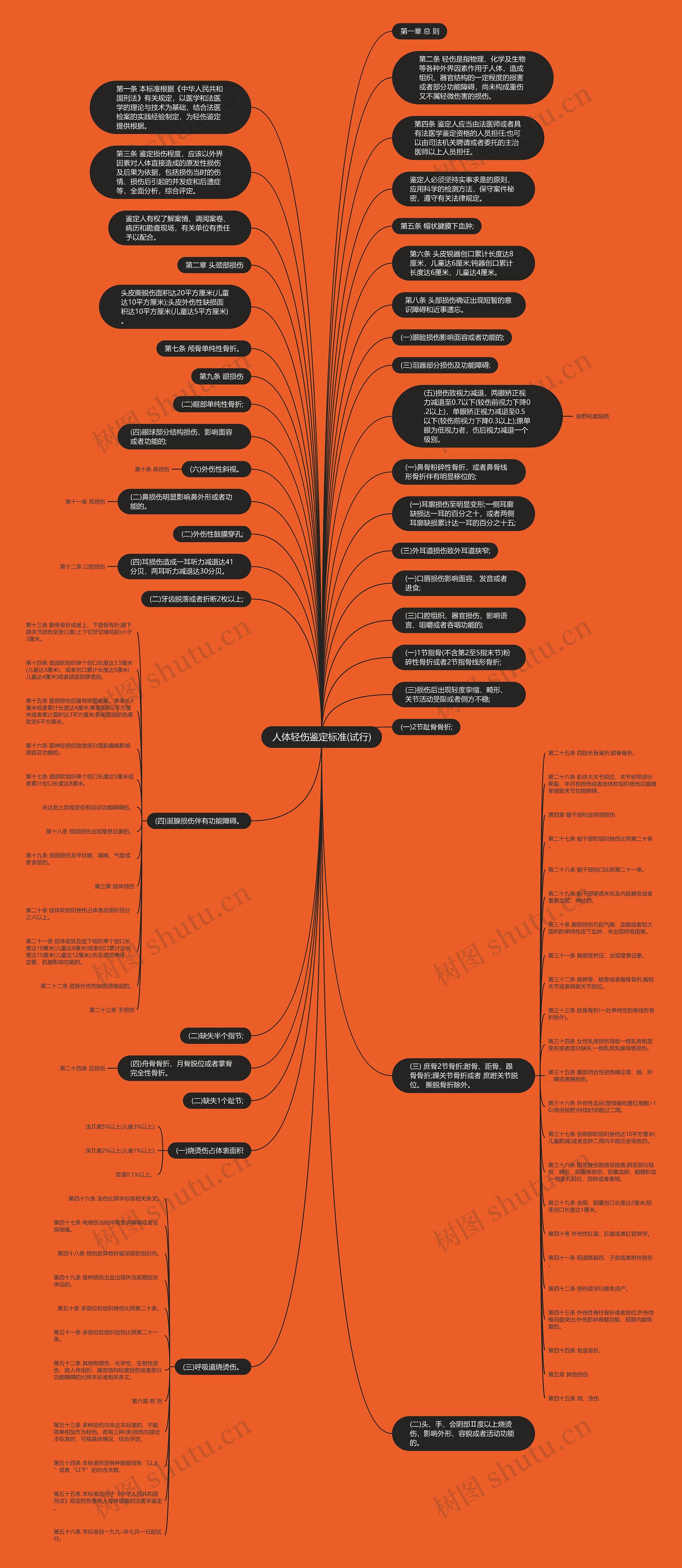 人体轻伤鉴定标准(试行)思维导图