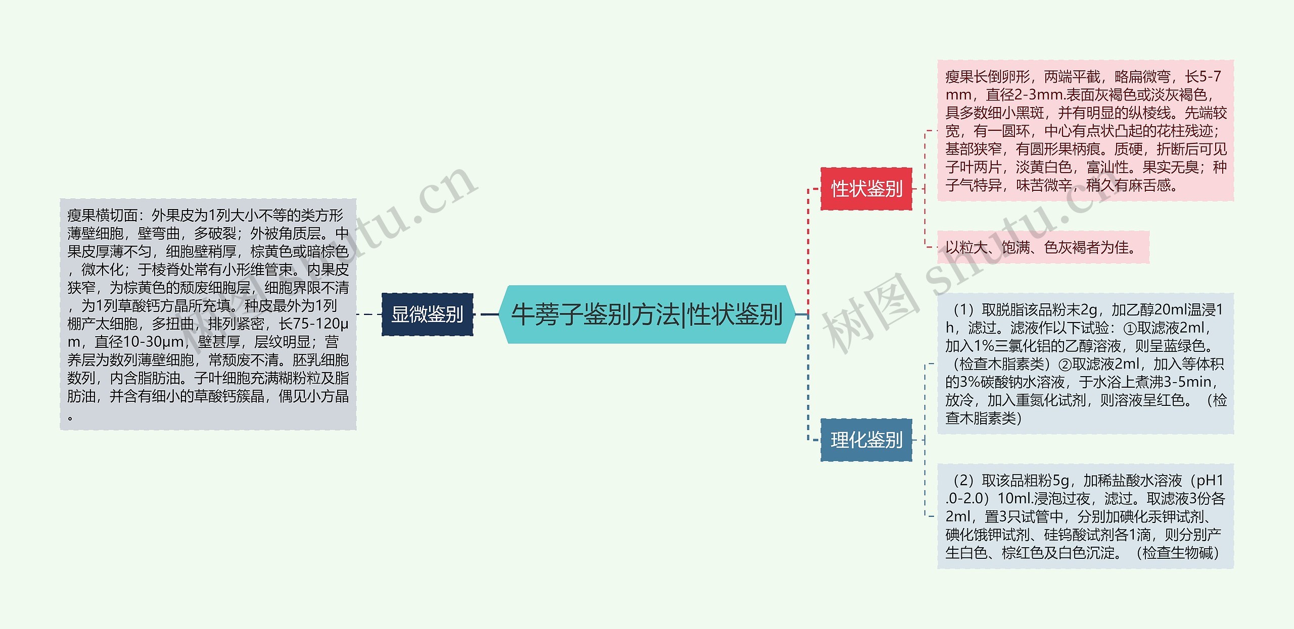 牛蒡子鉴别方法|性状鉴别