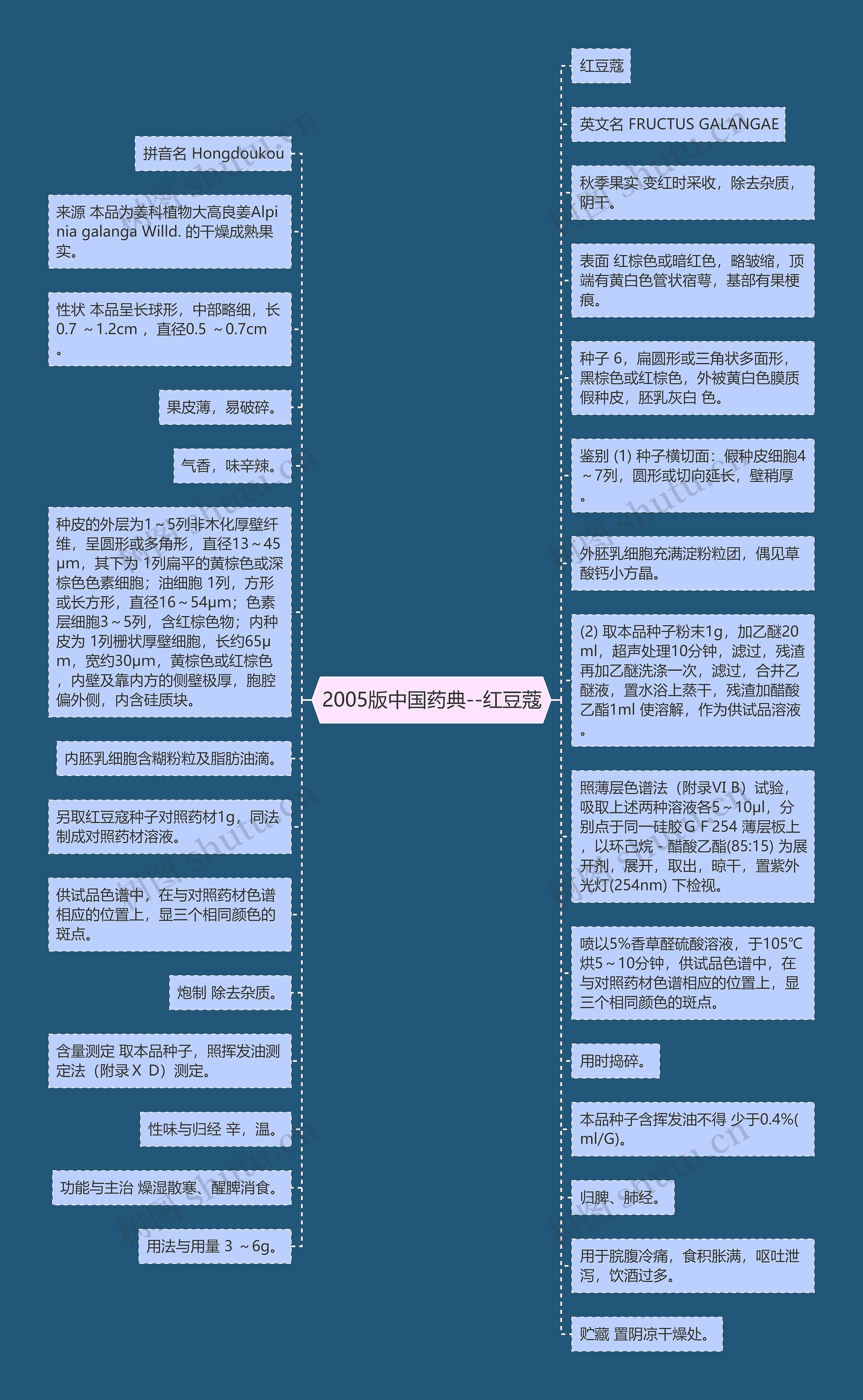 2005版中国药典--红豆蔻思维导图