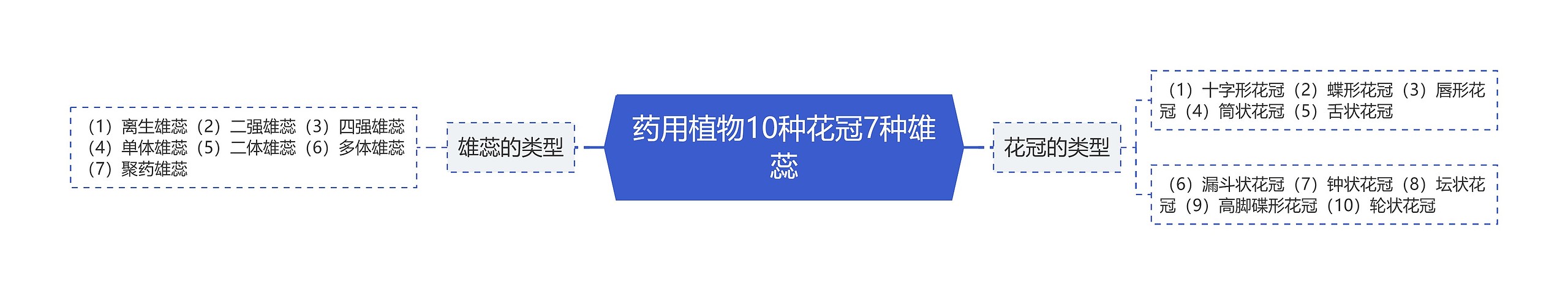 药用植物10种花冠7种雄蕊 药用植物10种花冠7种雄蕊