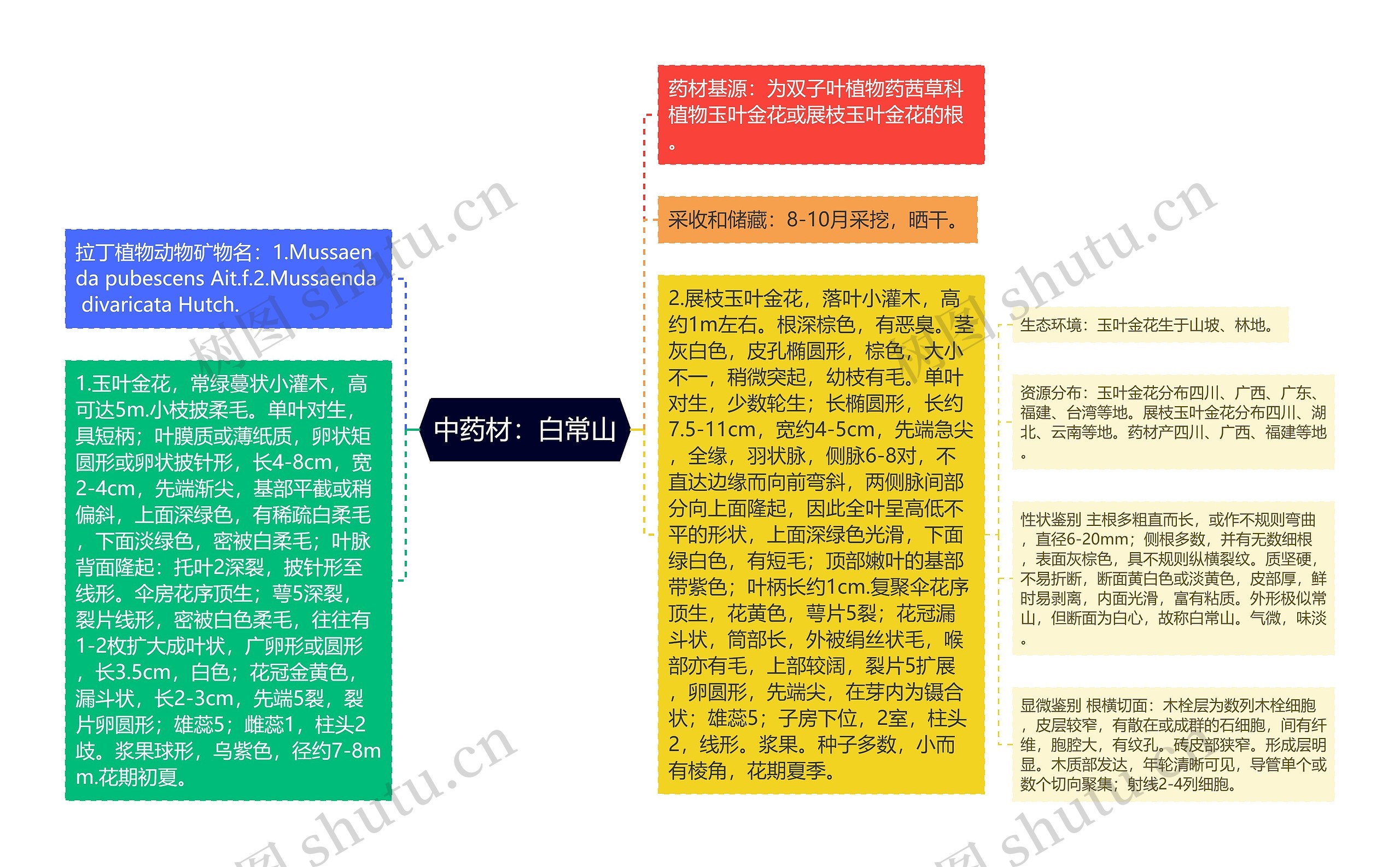 中药材：白常山思维导图