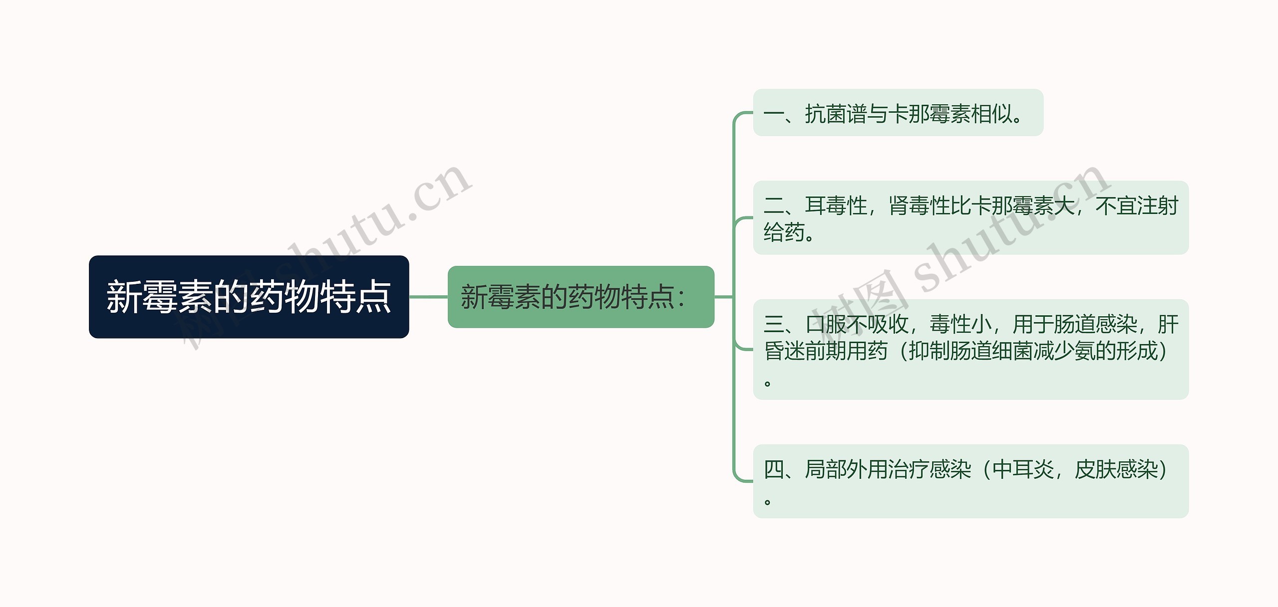 新霉素的药物特点思维导图