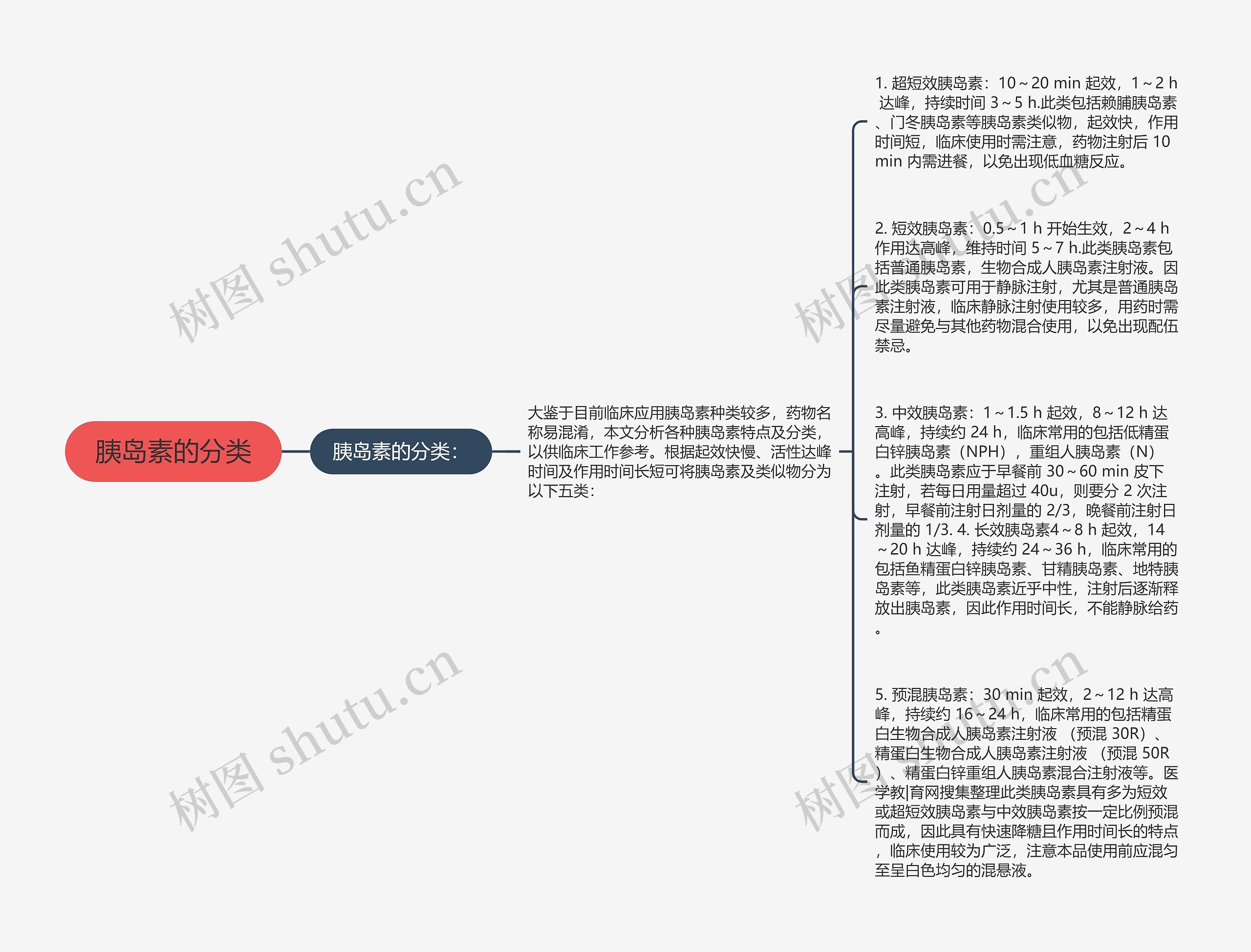 胰岛素的分类思维导图