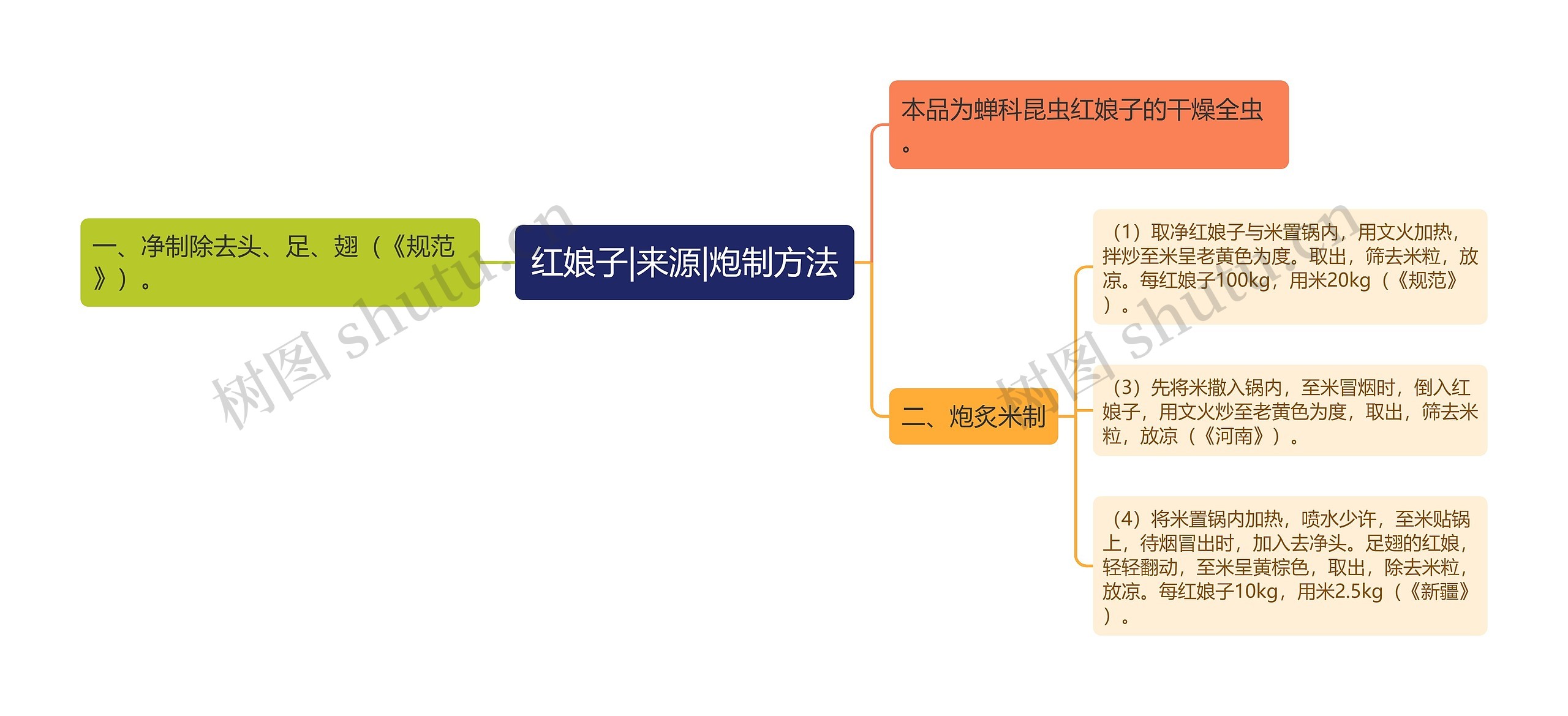 红娘子|来源|炮制方法思维导图