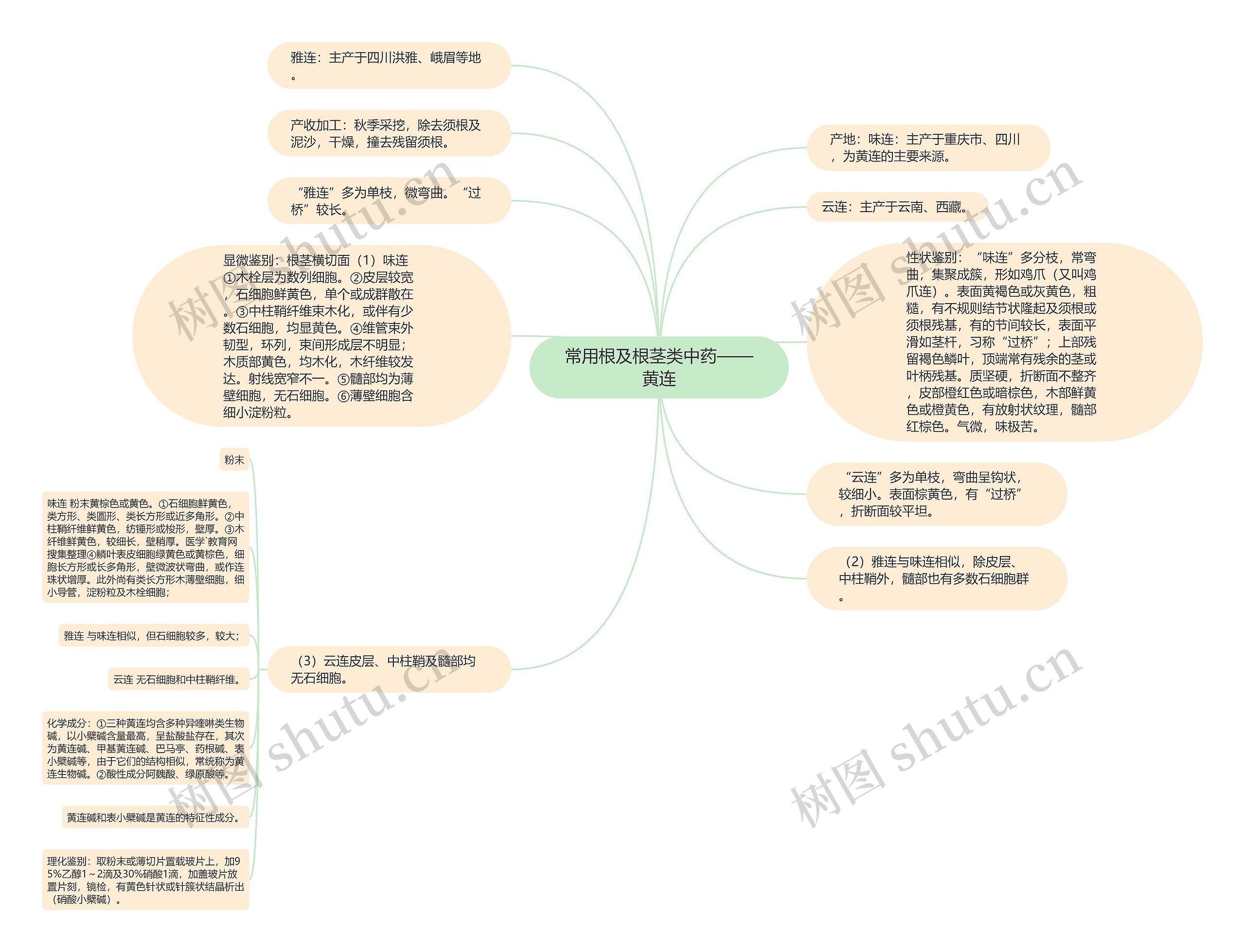 常用根及根茎类中药——黄连思维导图