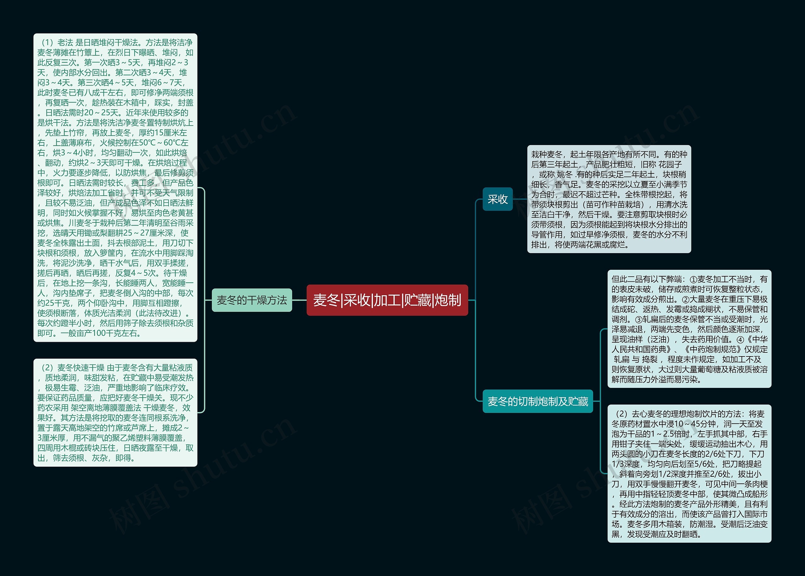 麦冬|采收|加工|贮藏|炮制思维导图