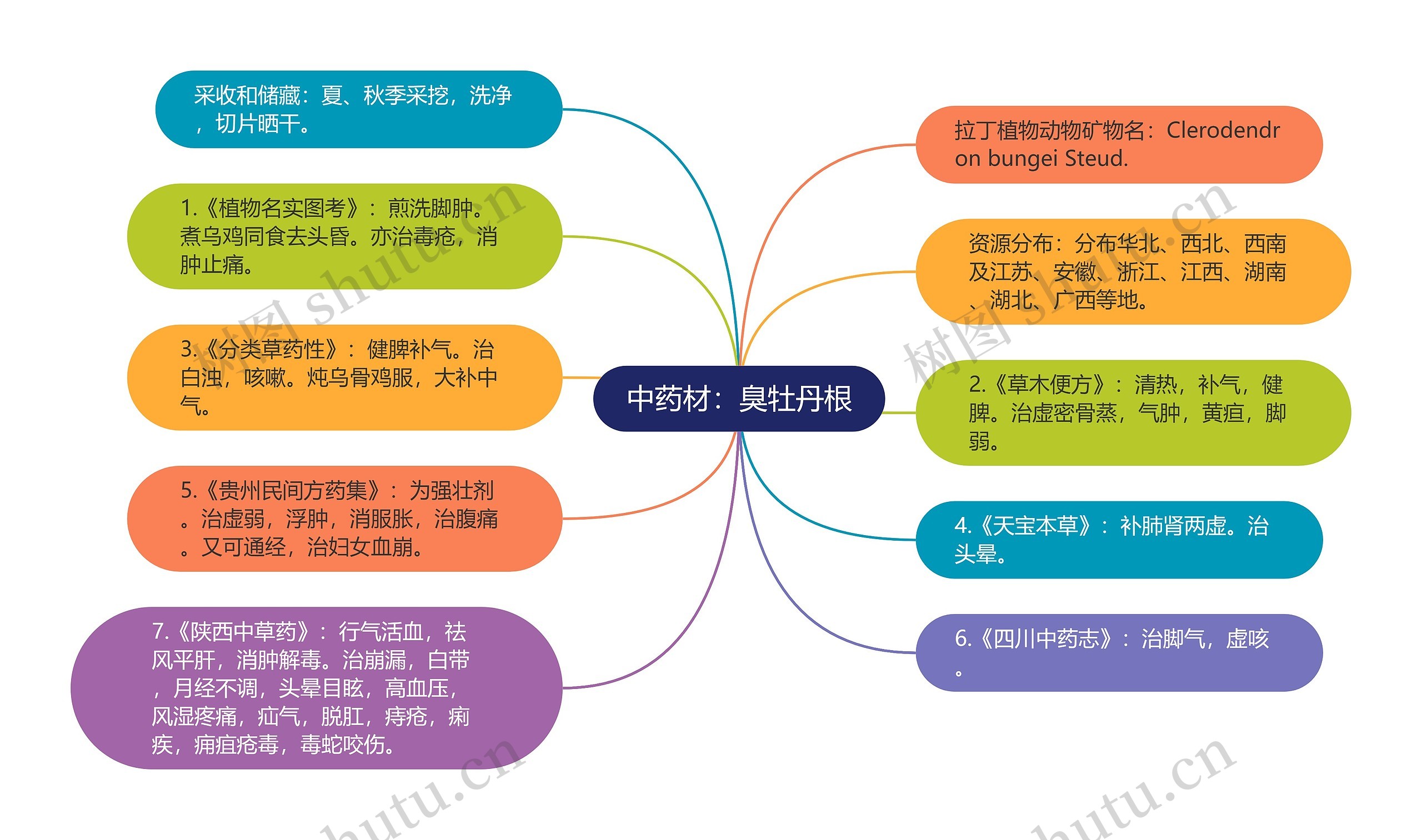 中药材：臭牡丹根思维导图