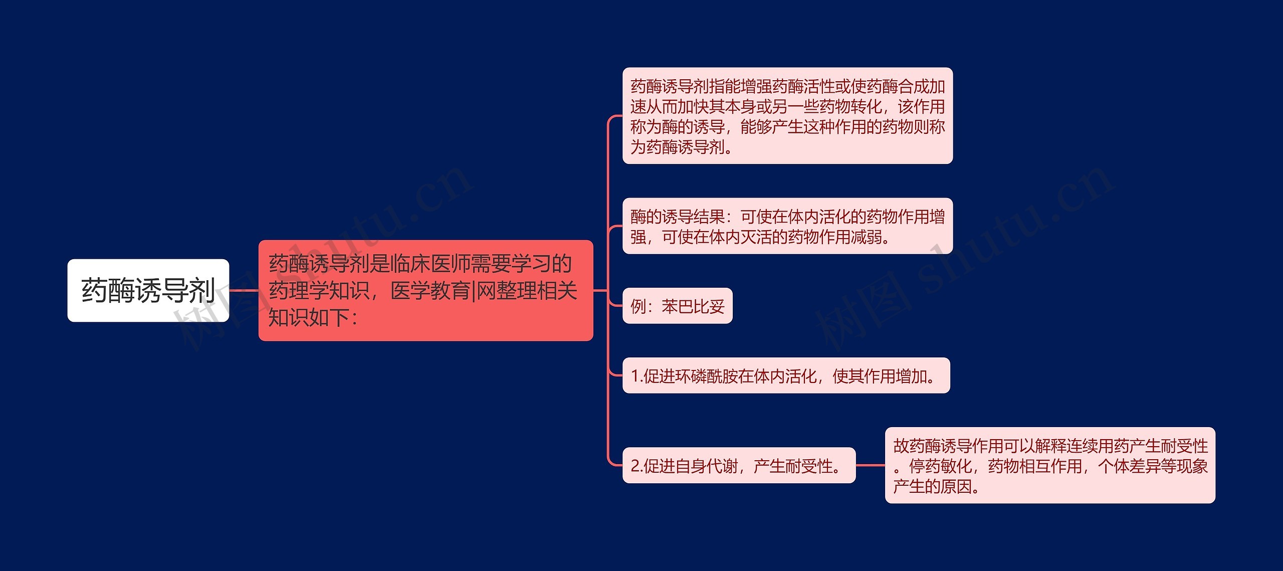 药酶诱导剂 药酶诱导剂