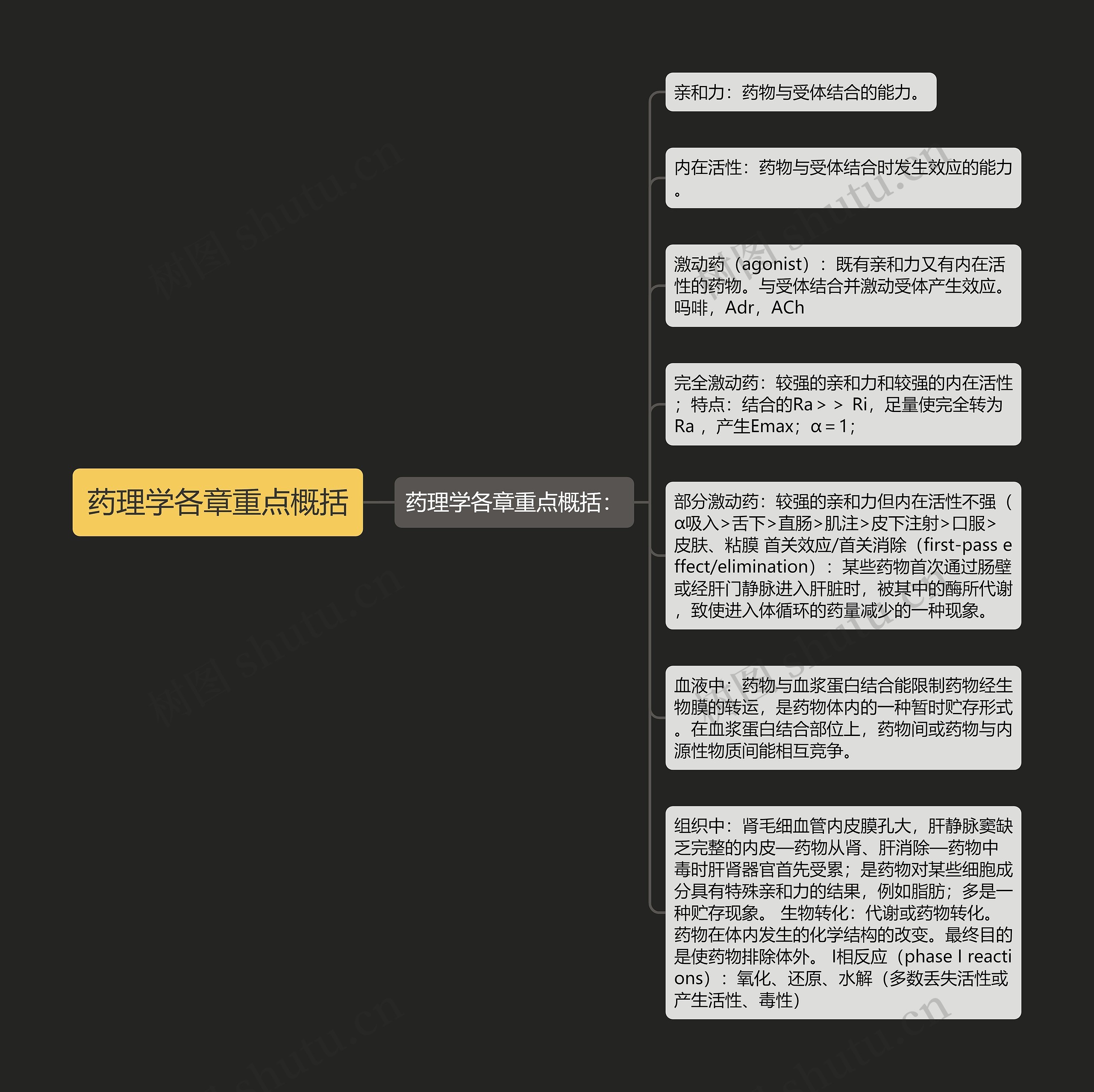 药理学各章重点概括思维导图高清图 药理学各章重点概括思维导图