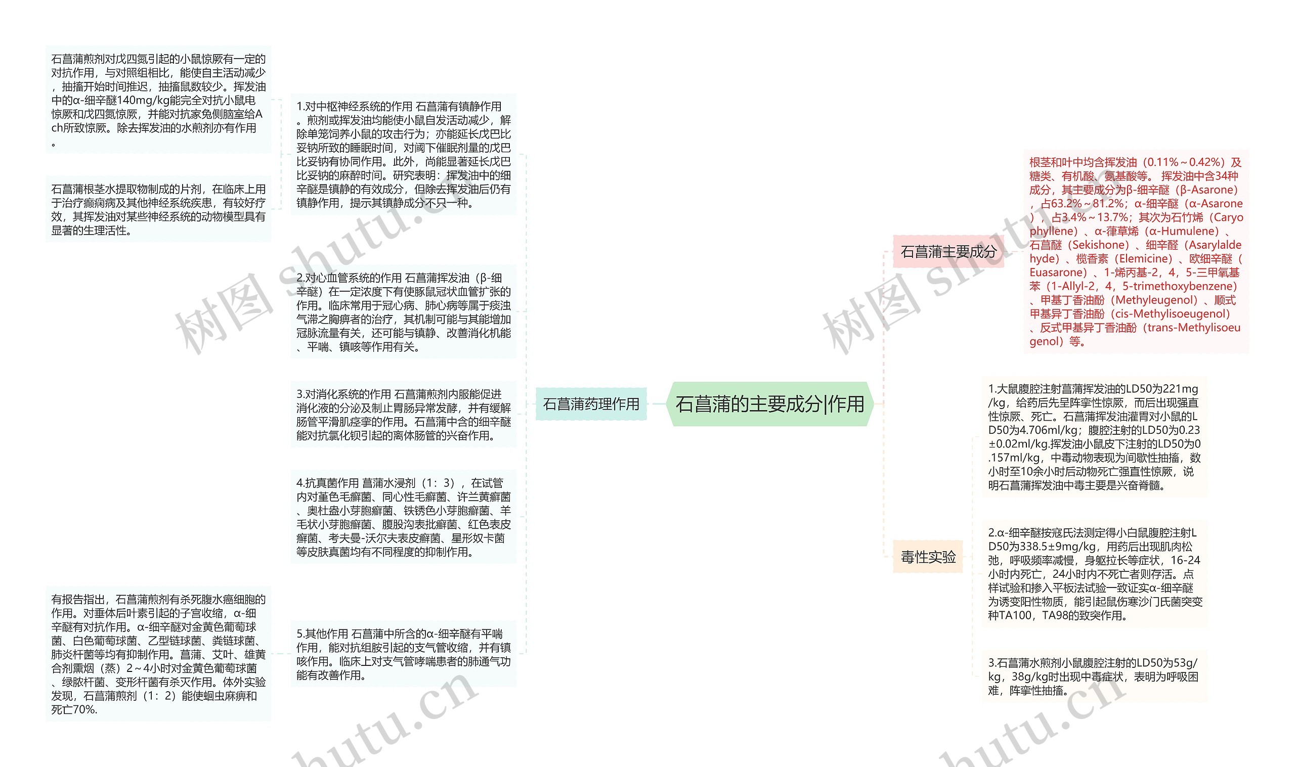 石菖蒲的主要成分|作用思维导图