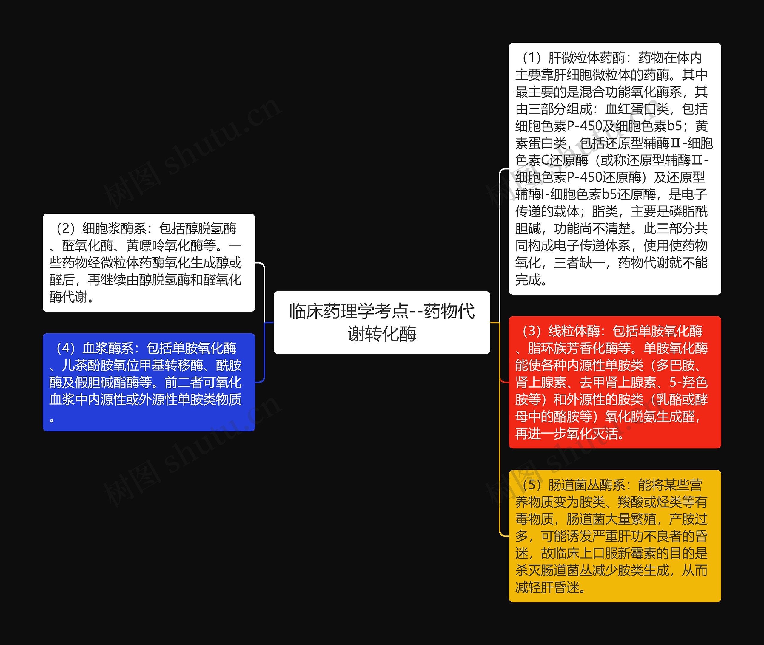 临床药理学考点--药物代谢转化酶思维导图