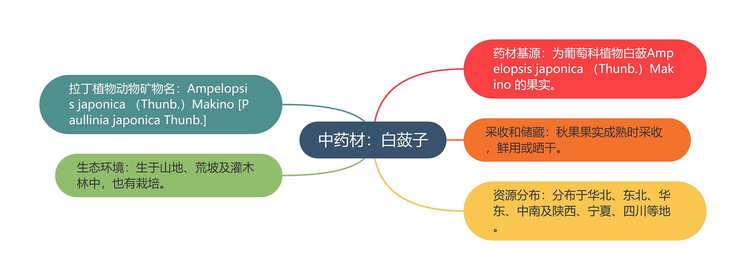 中药材：白蔹子思维导图